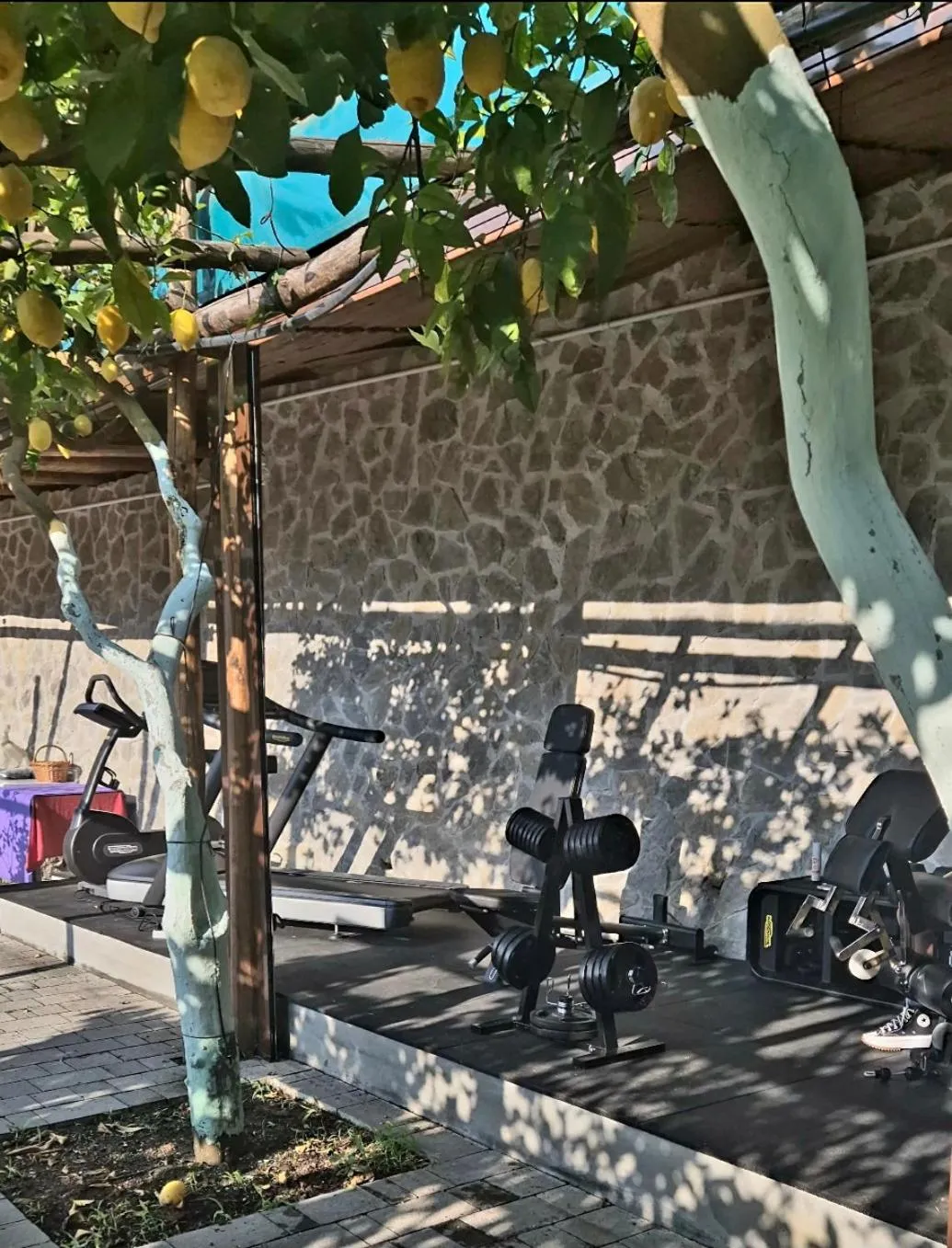 Fitness centre/facilities in Hotel La Pergola