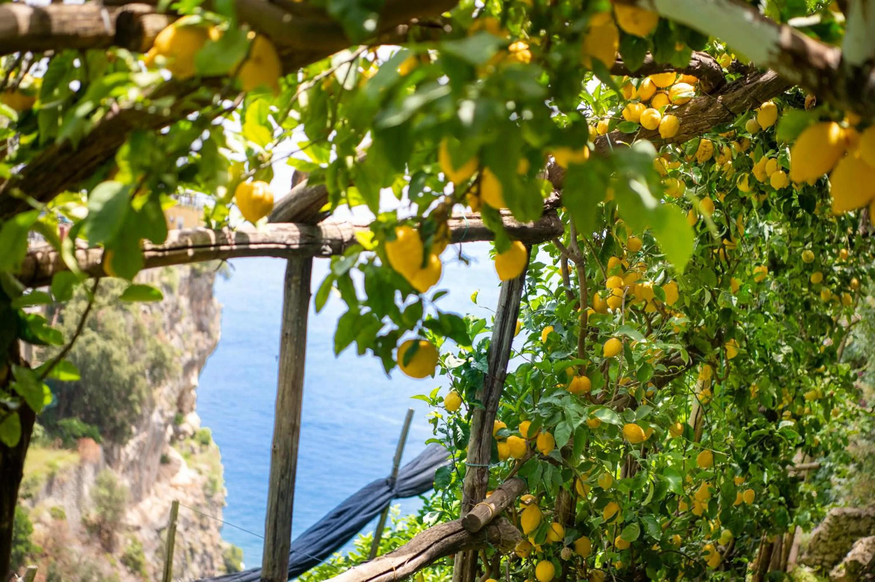 Sea view in Hotel La Pergola