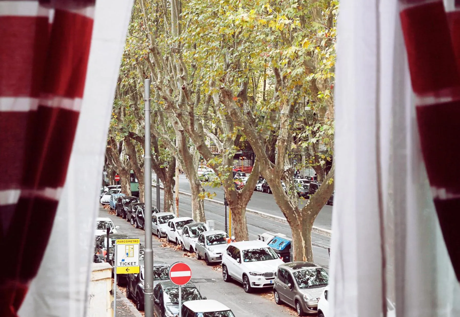 Photo of the whole room in Maflava apartment