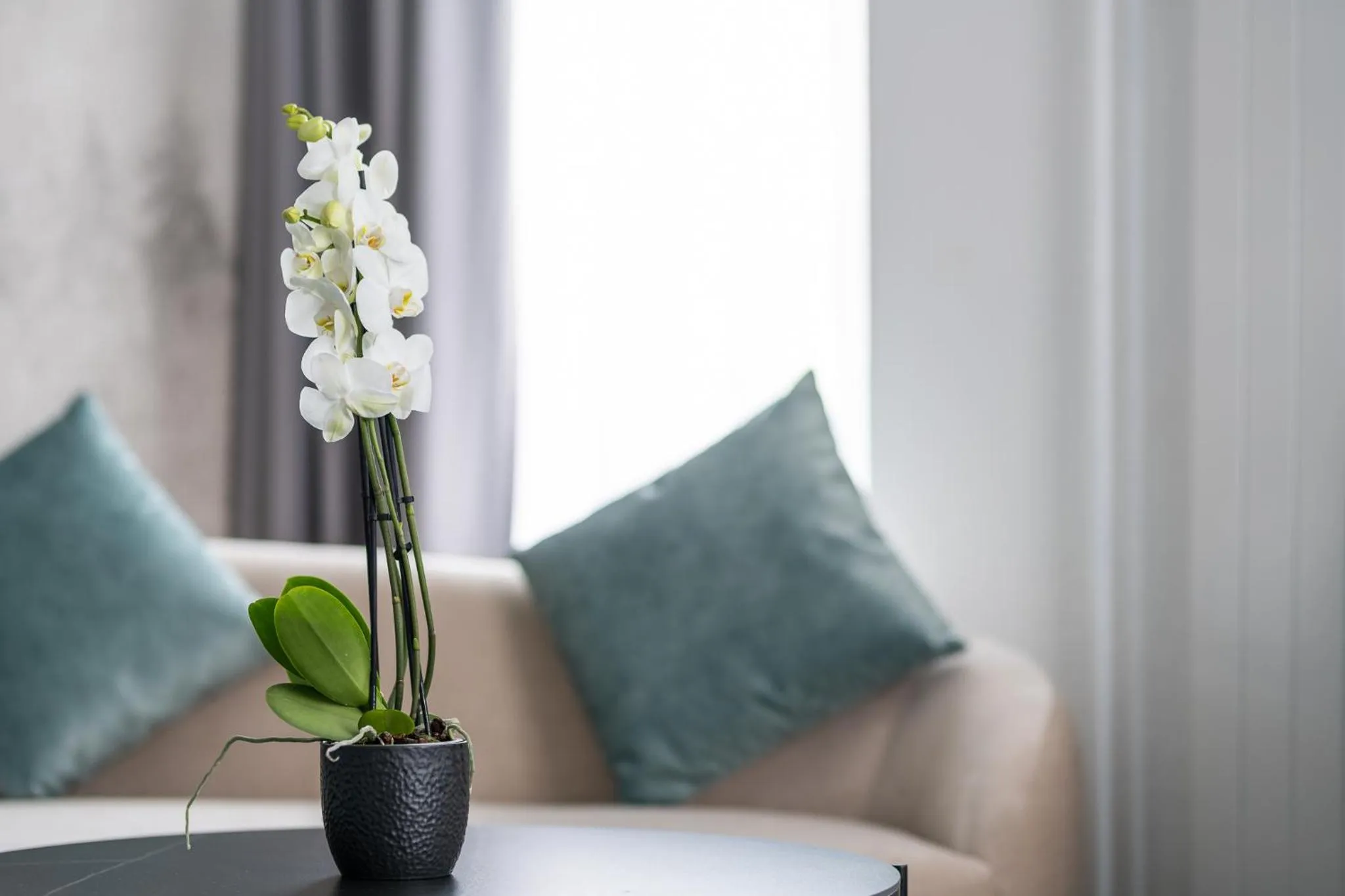 Seating area, Bed in Hotel Rheingerbe