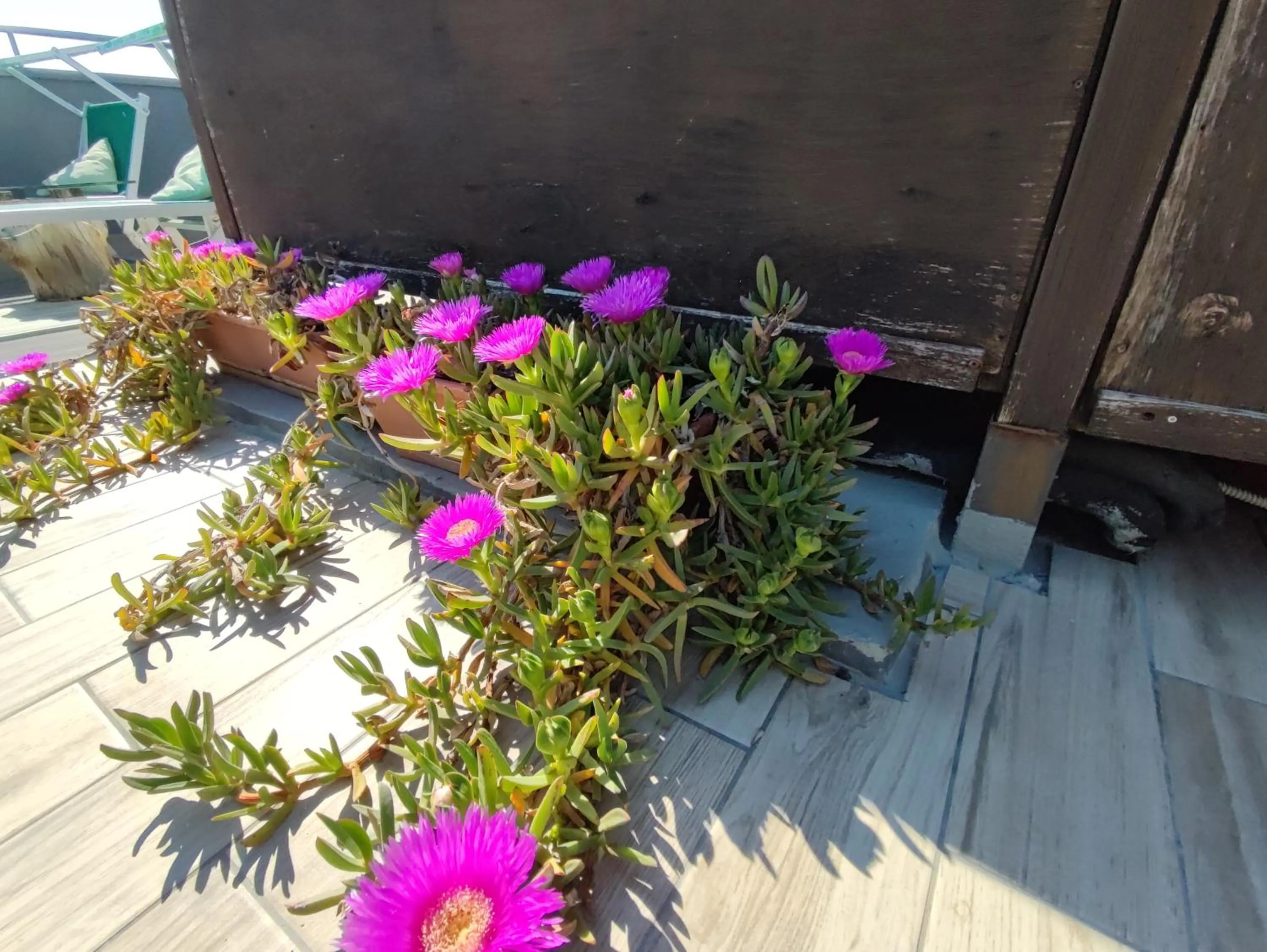 Solarium in Hotel Memory