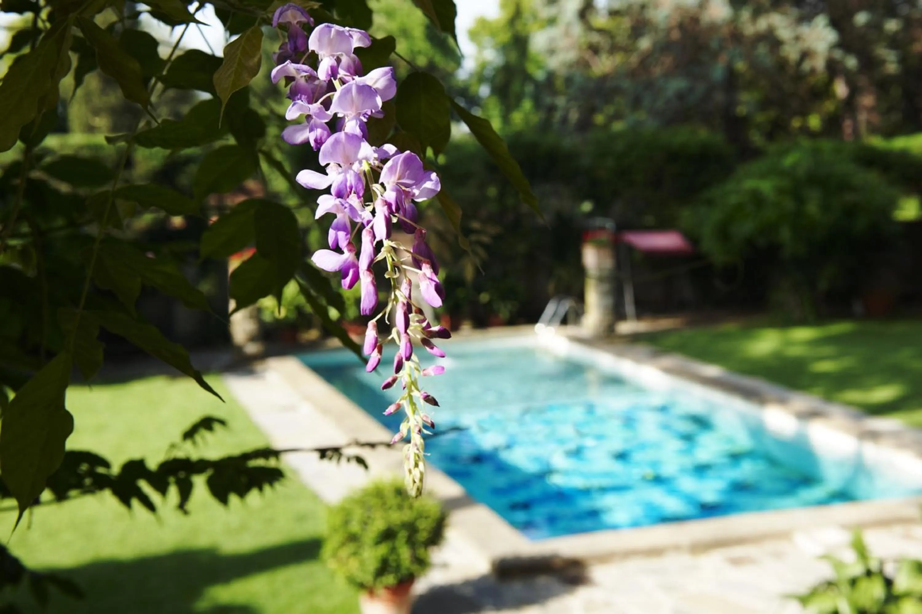 Natural landscape in Park Palace Hotel
