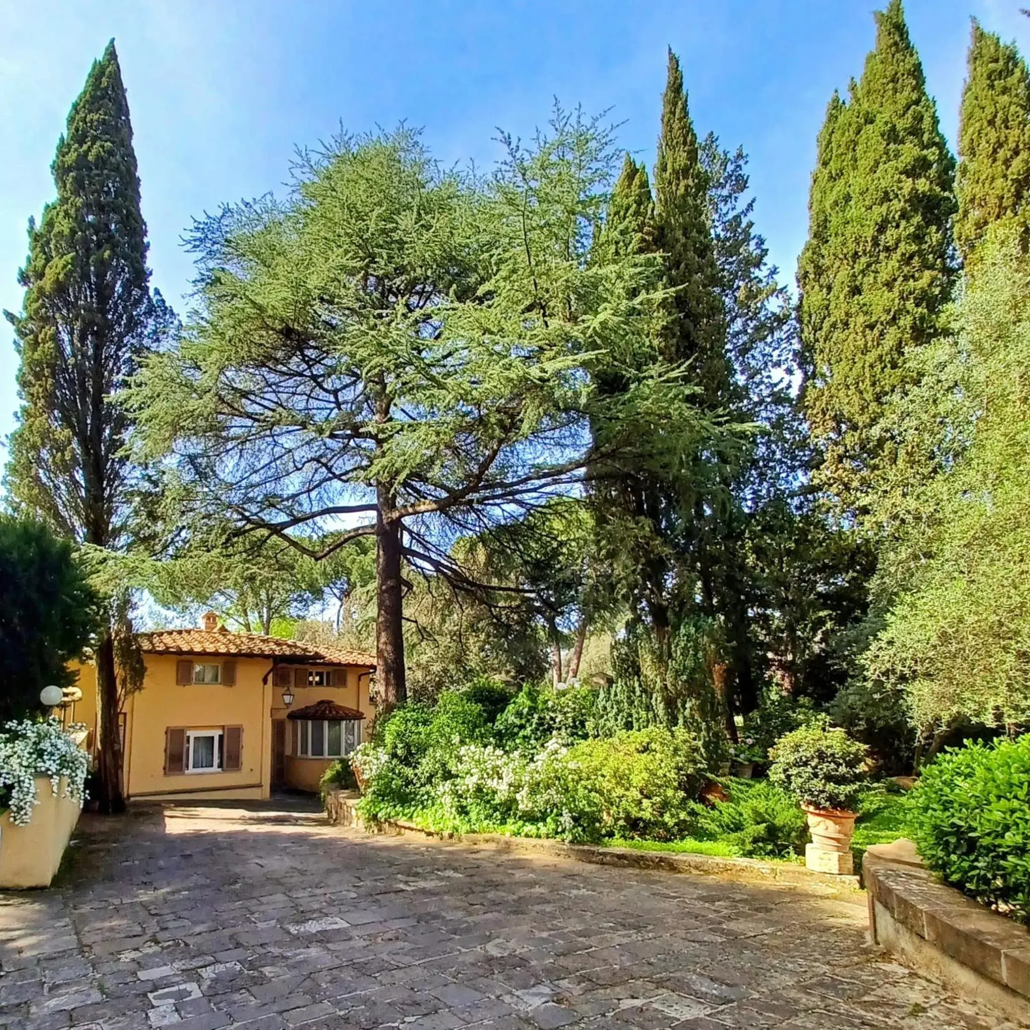 Property building in Park Palace Hotel Property building in Park Palace Hotel