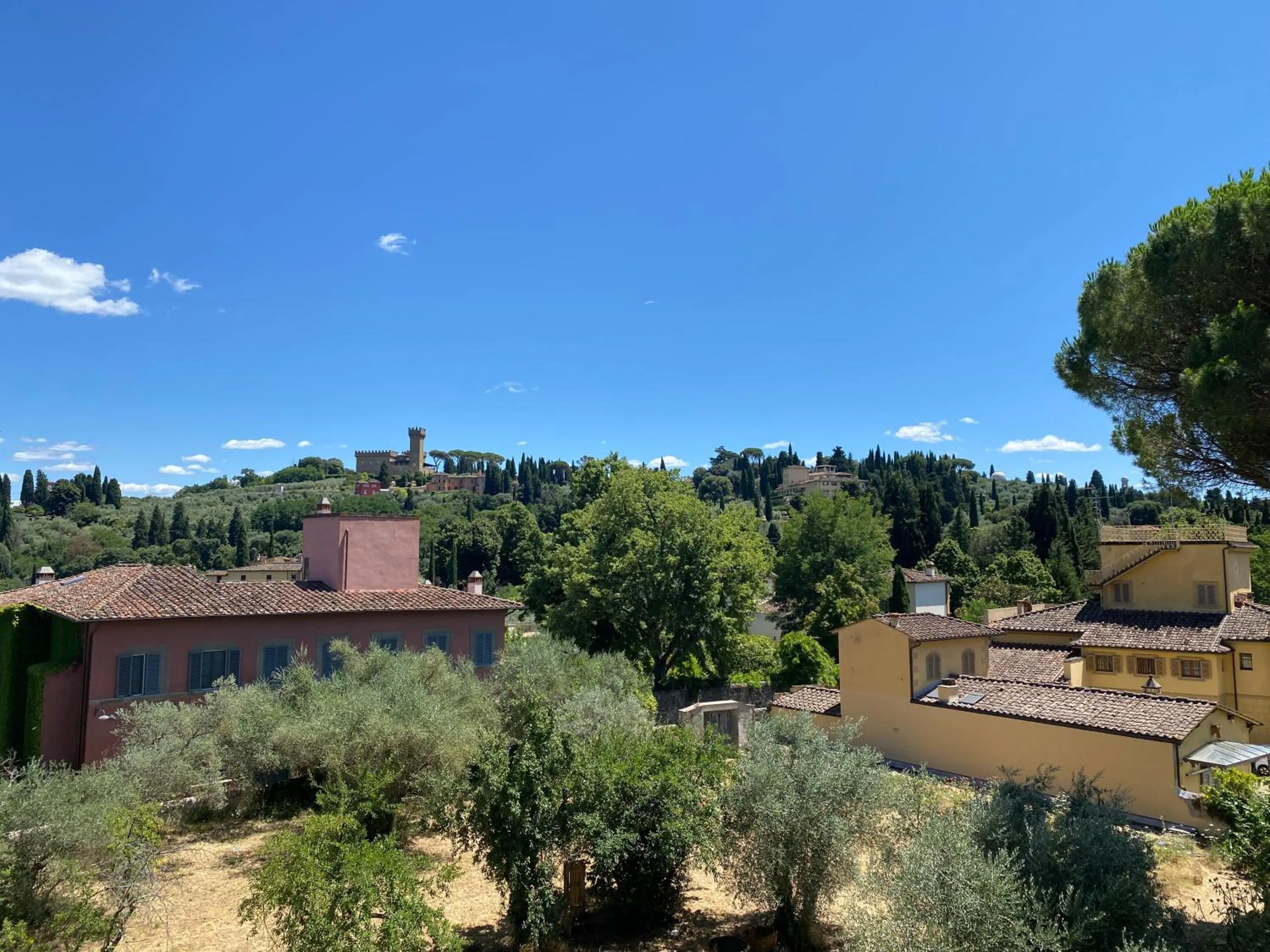 Natural landscape in Park Palace Hotel