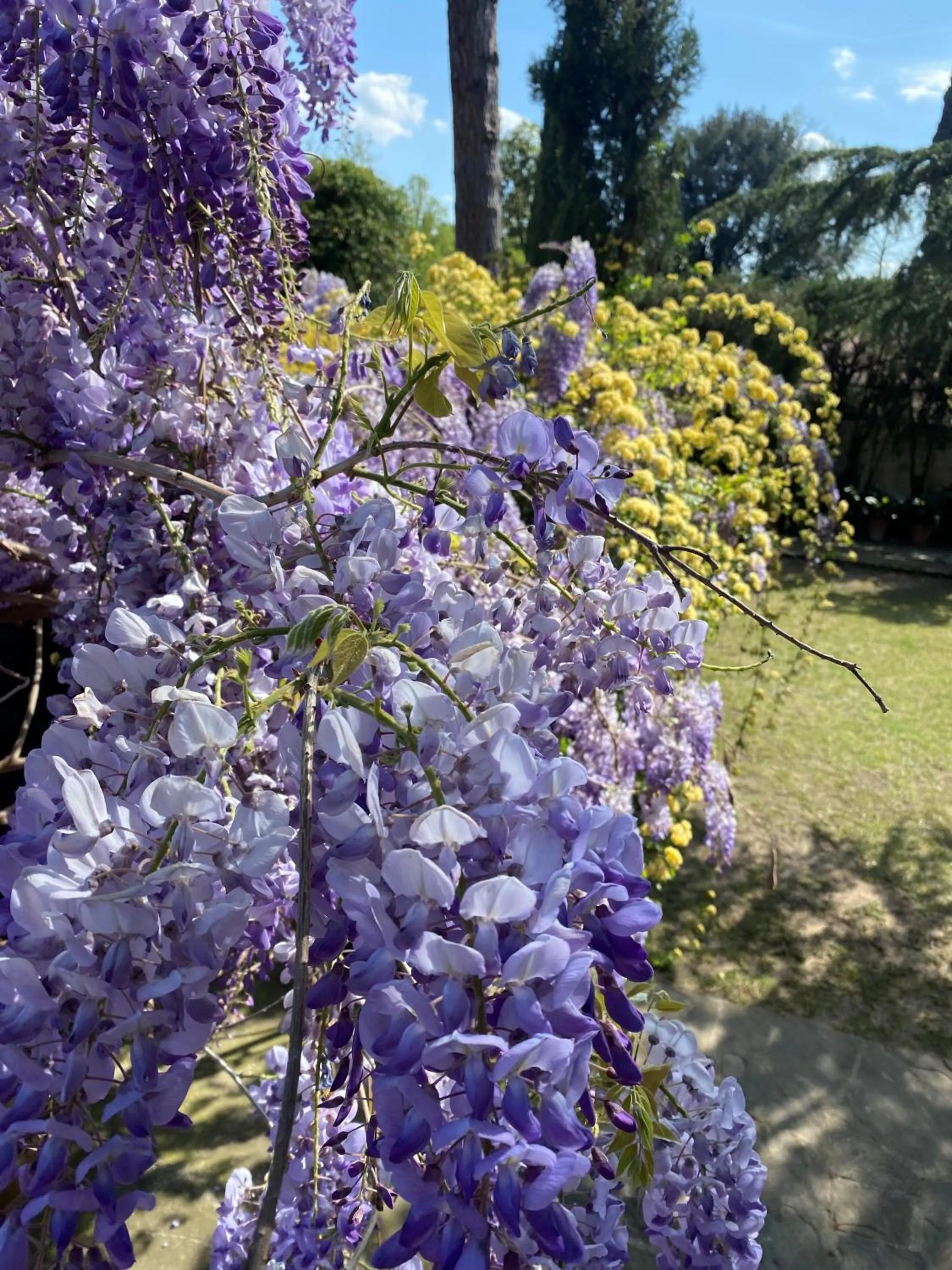 Swimming pool in Park Palace Hotel