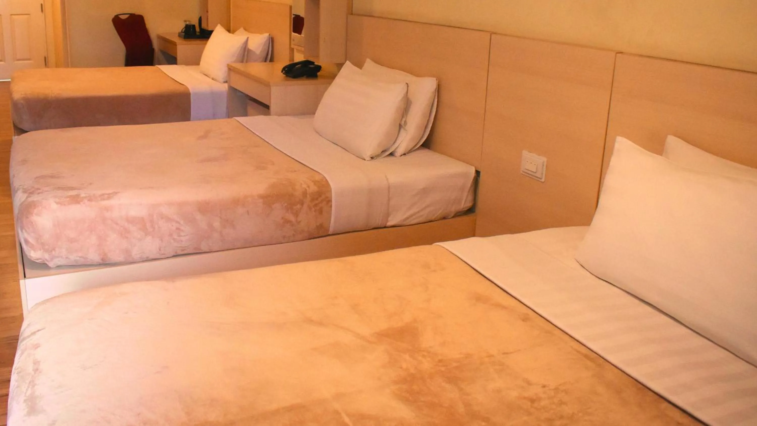 Bed in Olive Town Center and Hotel