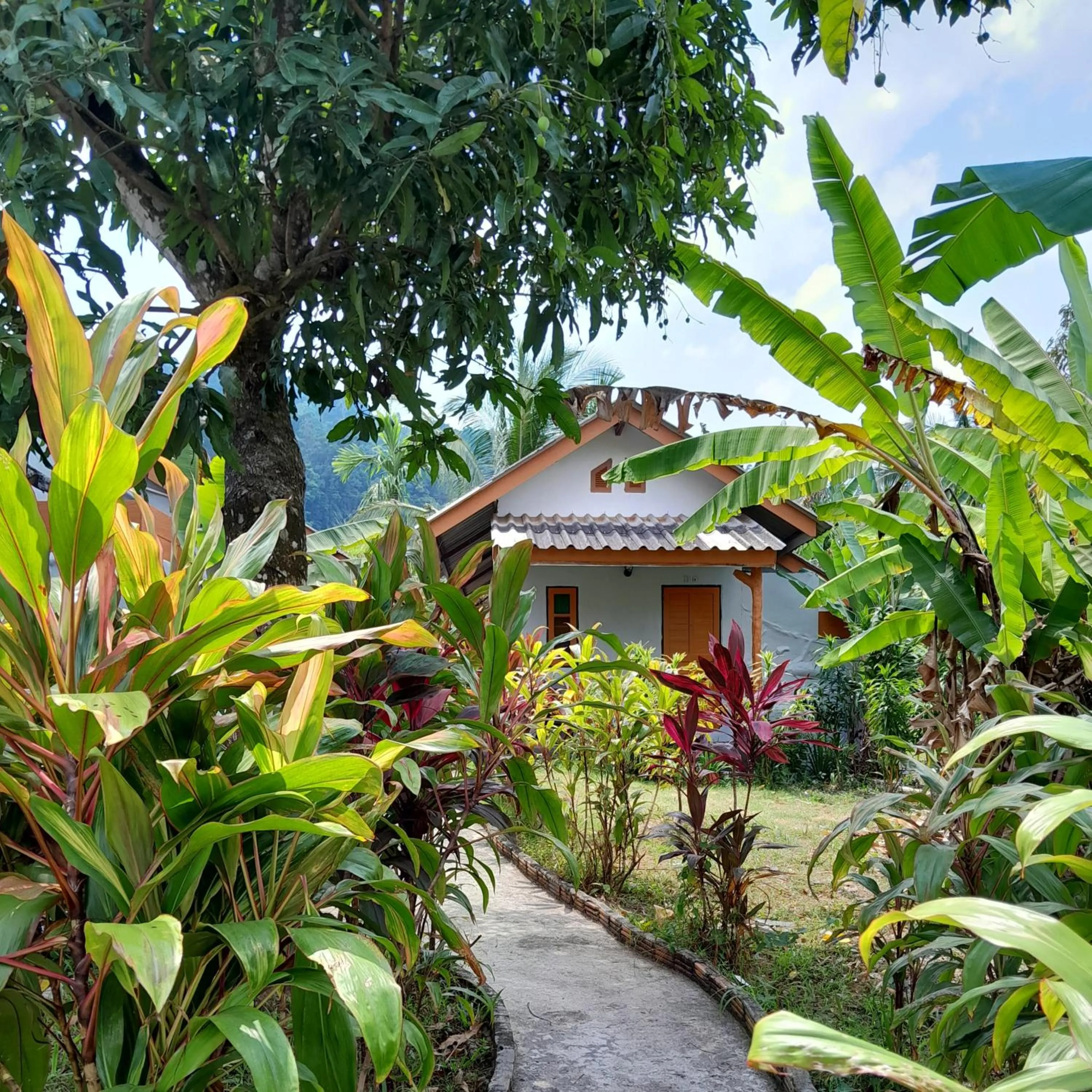 Garden in Khaolak Banana Bungalow