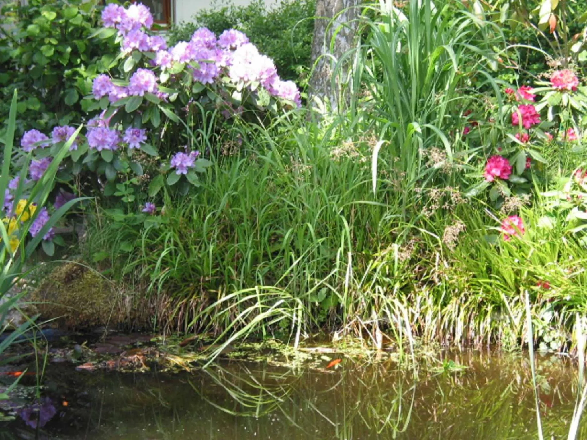 Garden in Appartements Gillmeier Herta