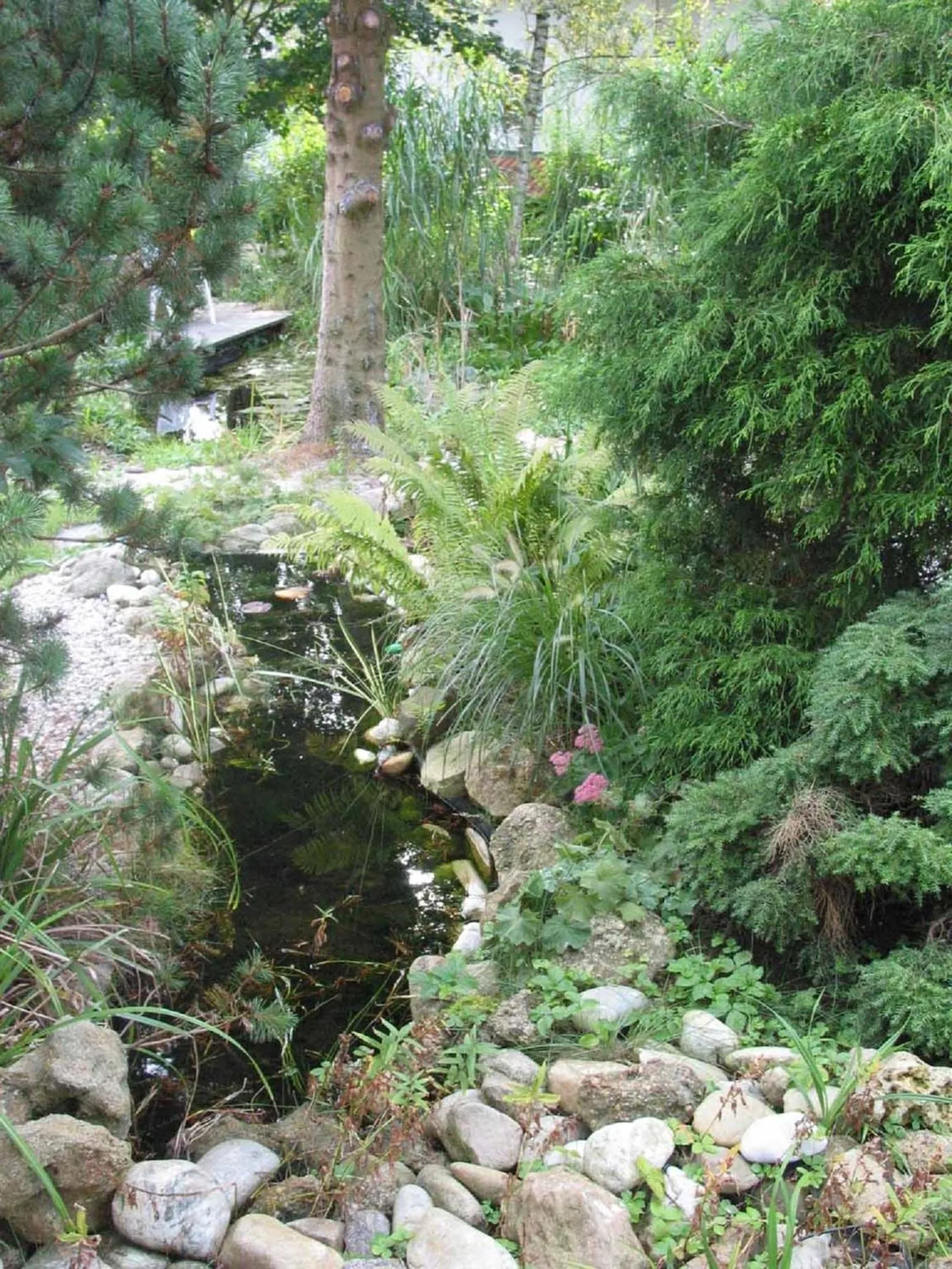 Garden in Appartements Gillmeier Herta
