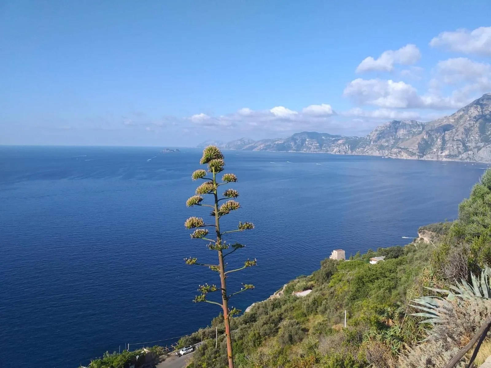 Natural landscape in Hotel Villa Bellavista