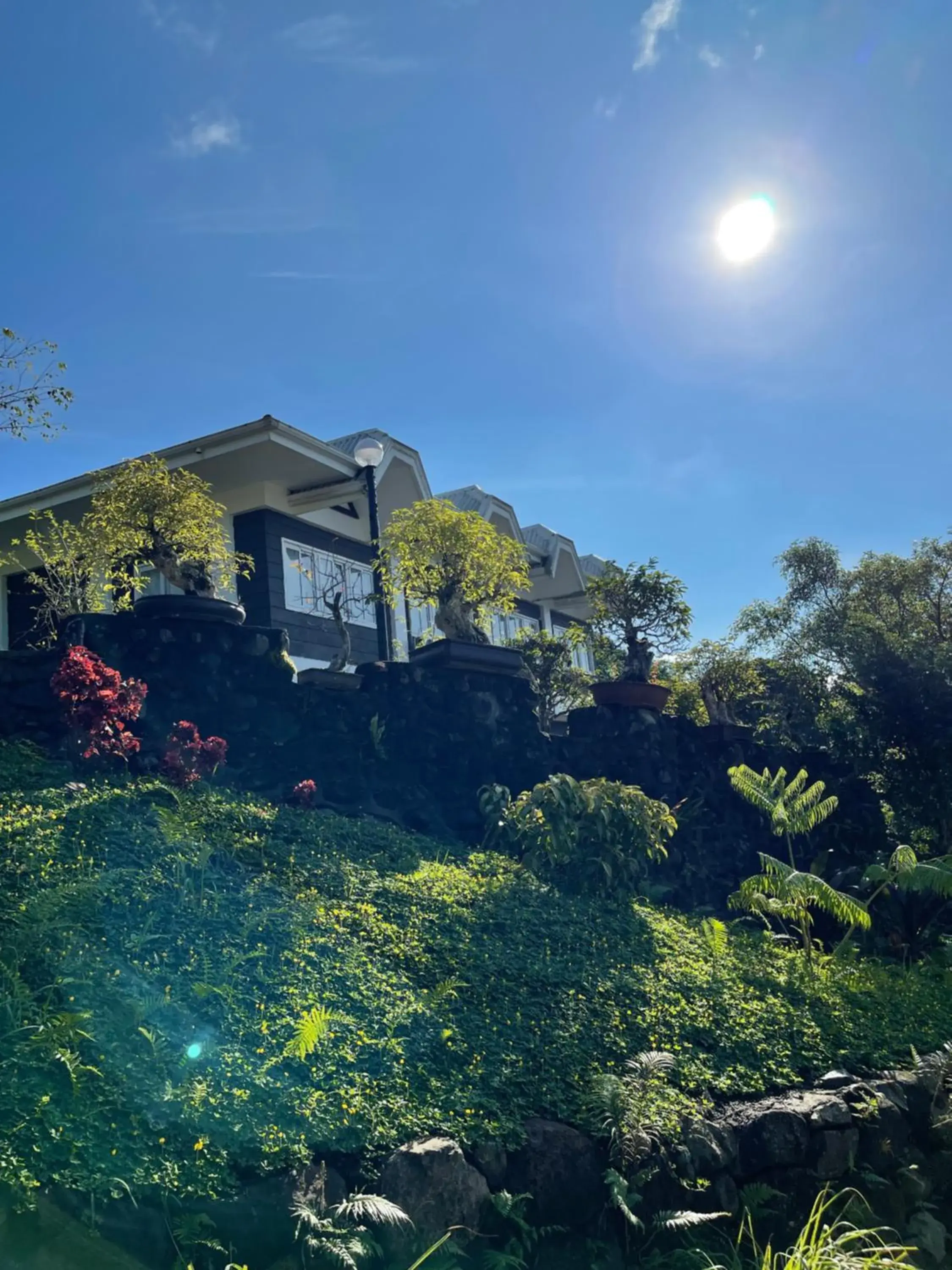 La View Mountain Resort La View Mountain Resort