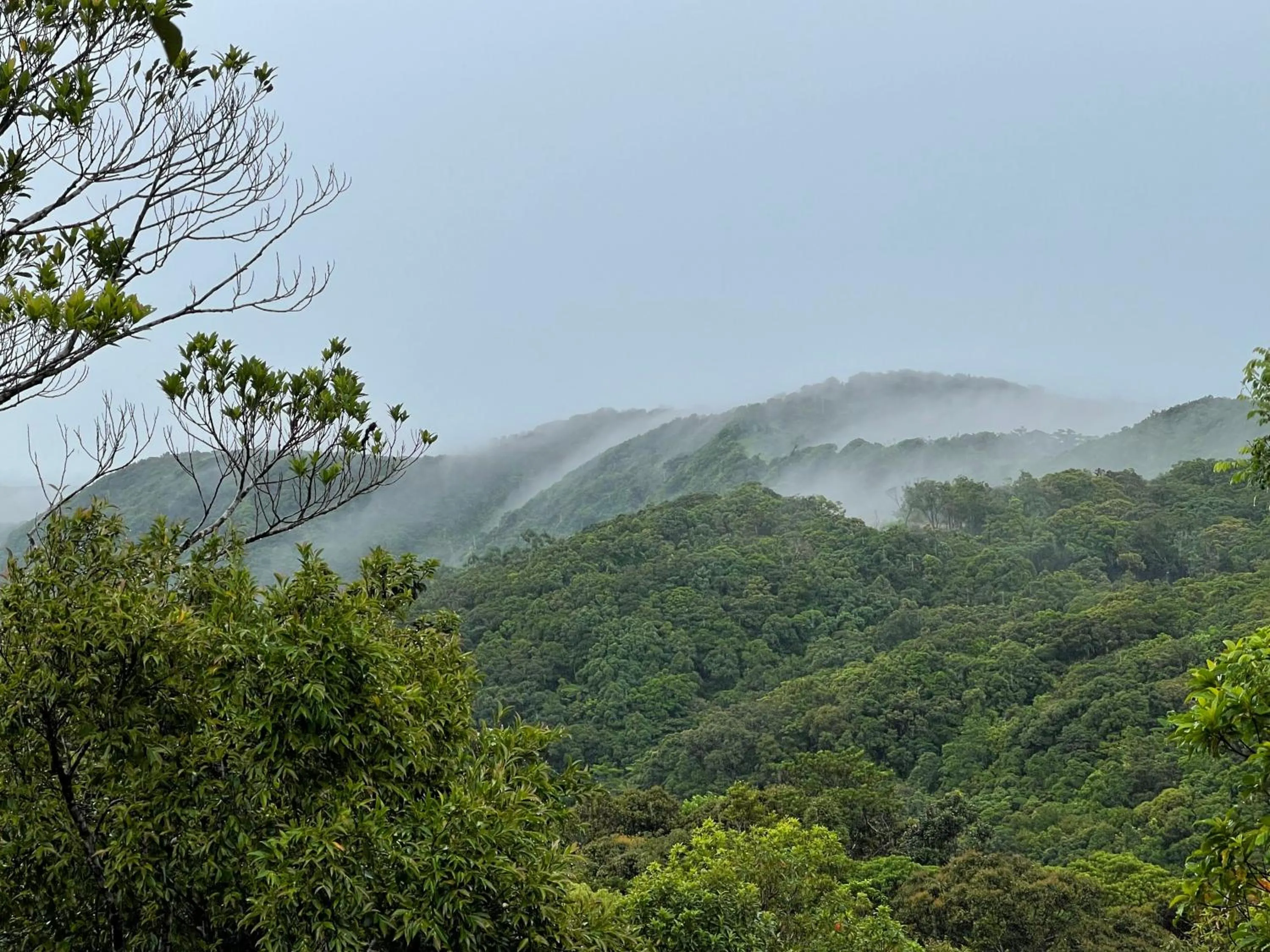 Mountain view in La View Mountain Resort