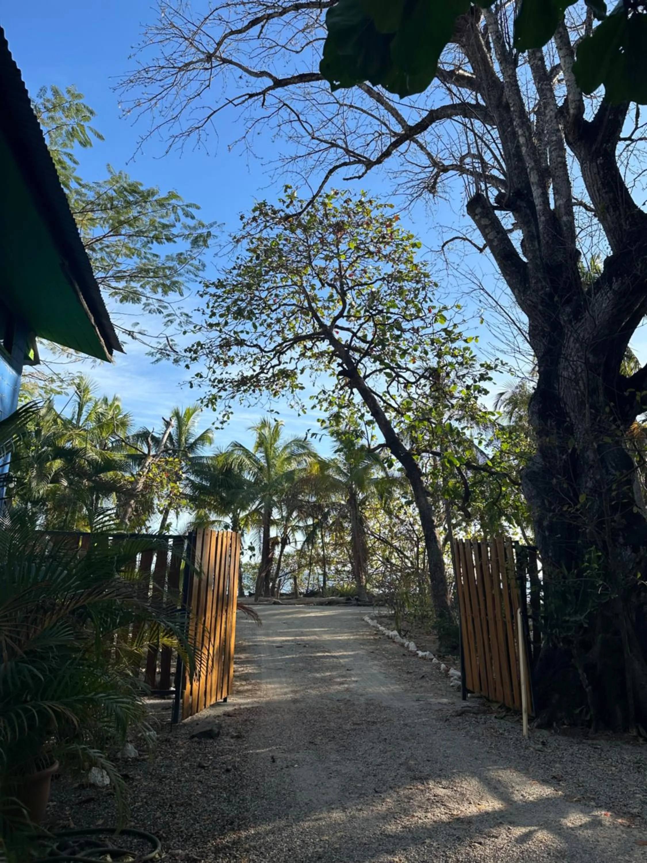 Apartment - Ground Floor in Beach Front Bahia