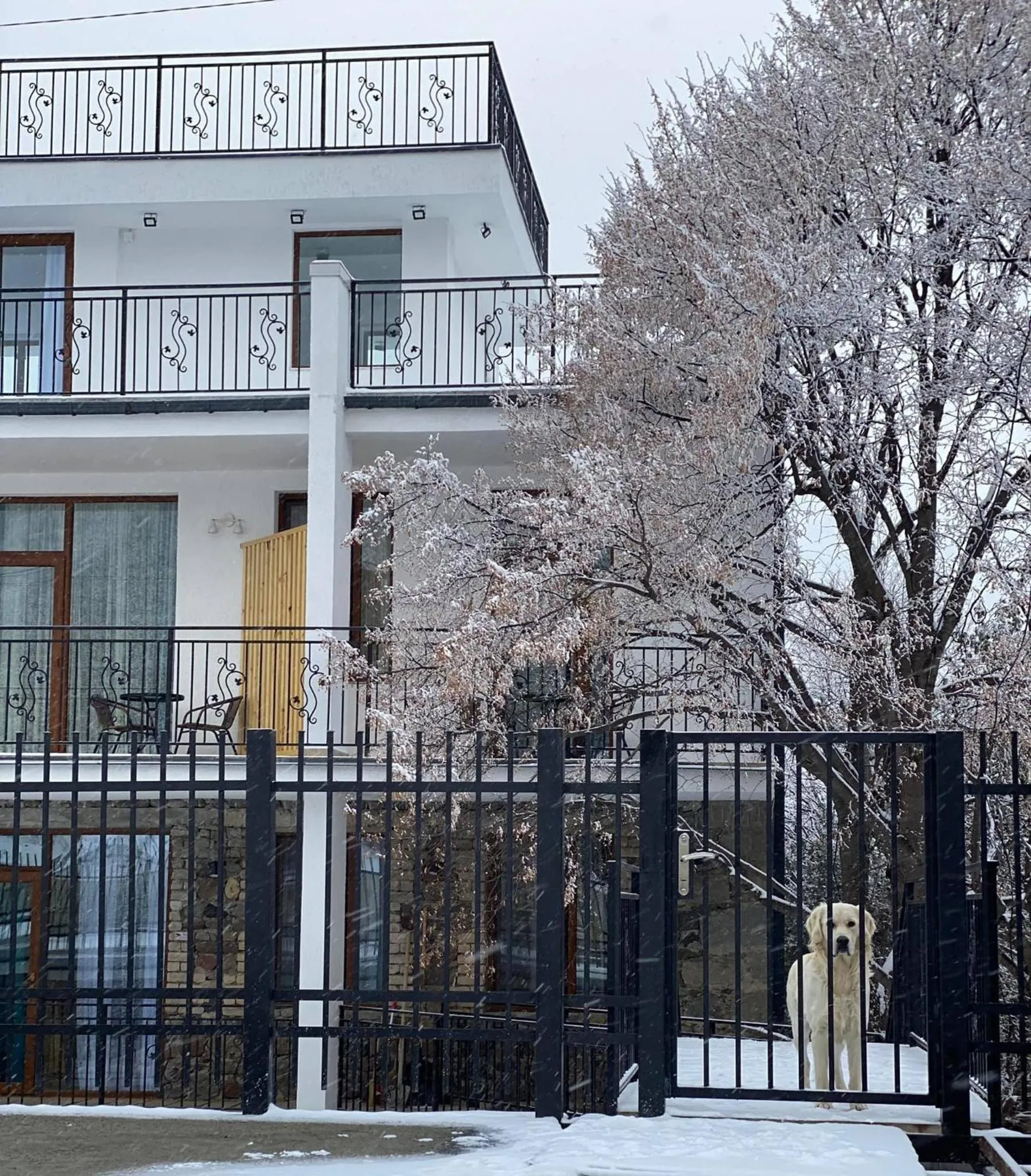 Property building in Mood Hotel Kazbegi