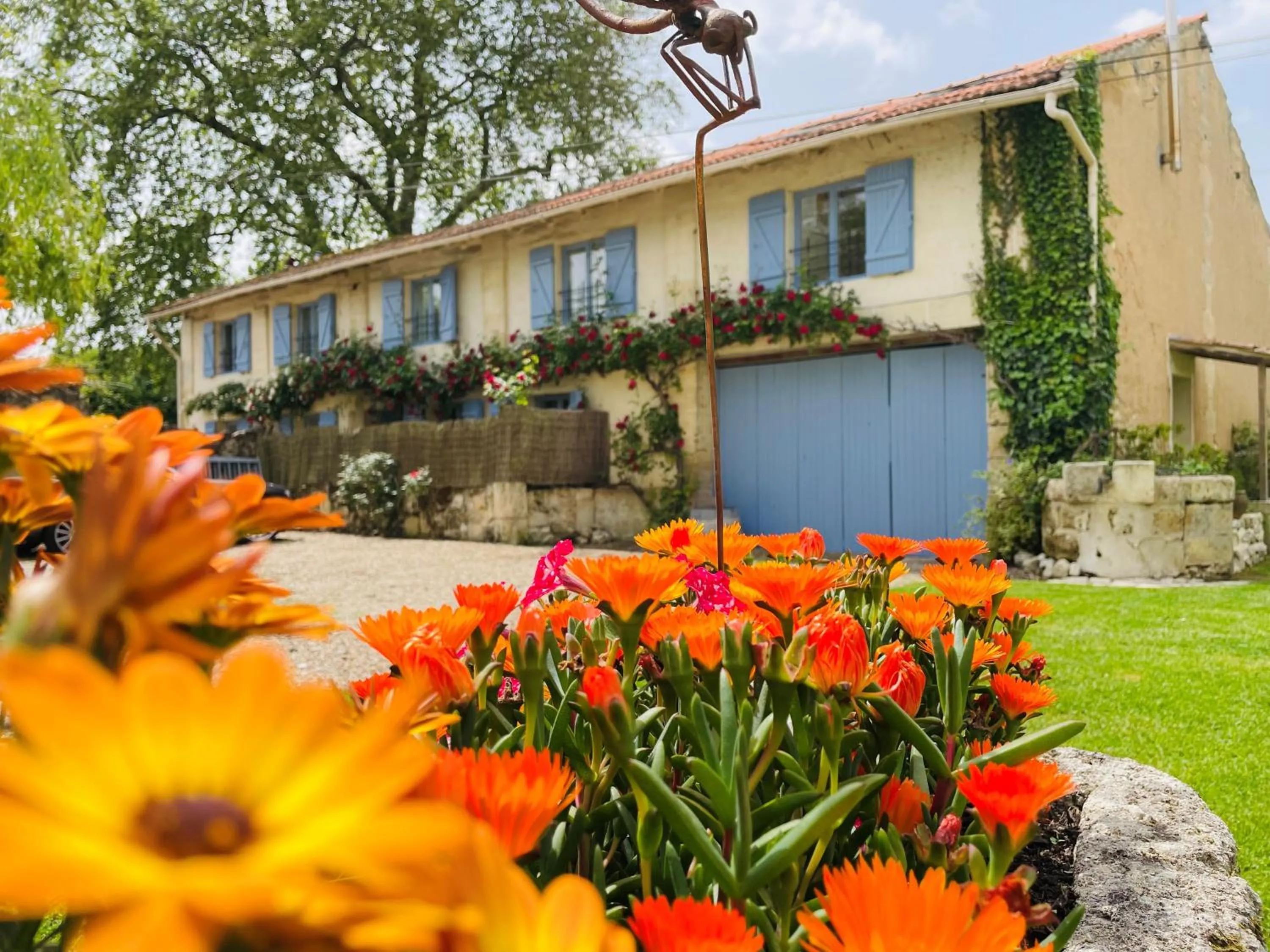 Garden in La Vigne d'Or
