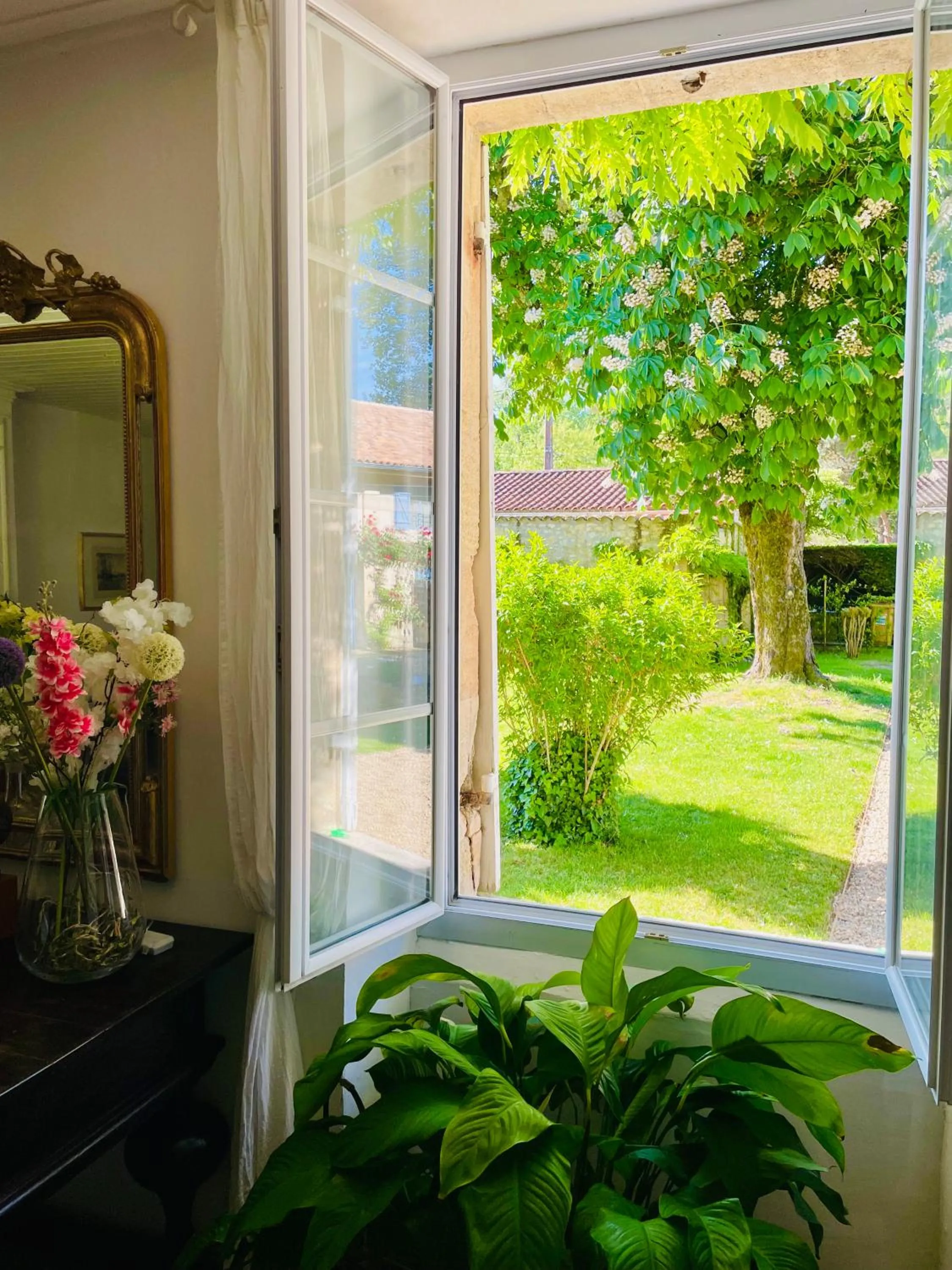 Breakfast in La Vigne d'Or