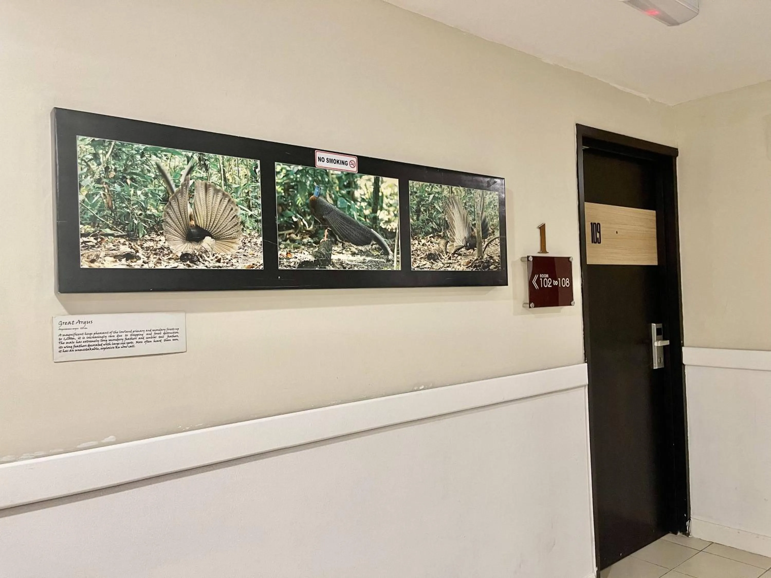 Decorative detail in ATAP Hotel