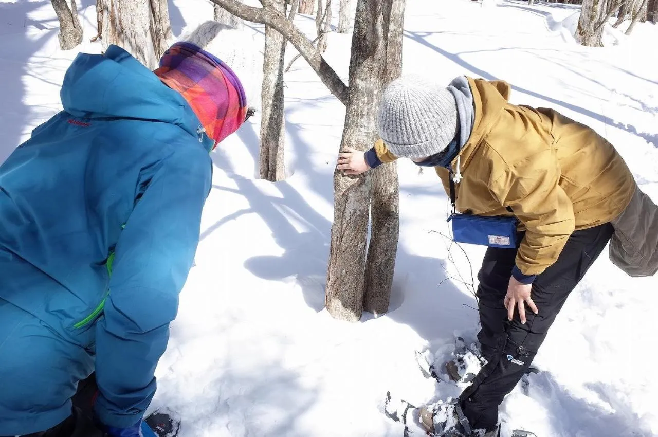 Activities in KAMENOI HOTEL Okunikko