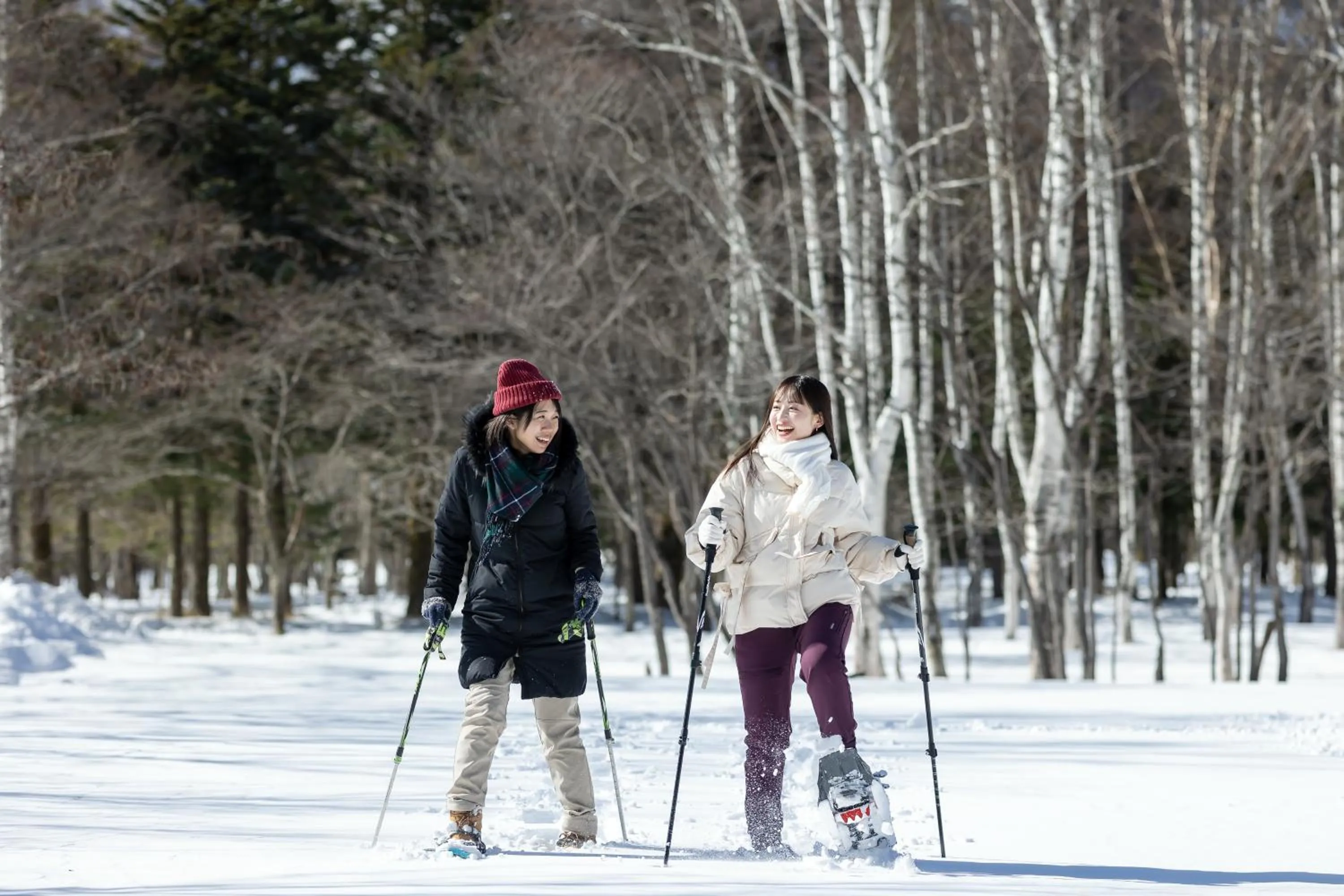 Nearby landmark in KAMENOI HOTEL Okunikko