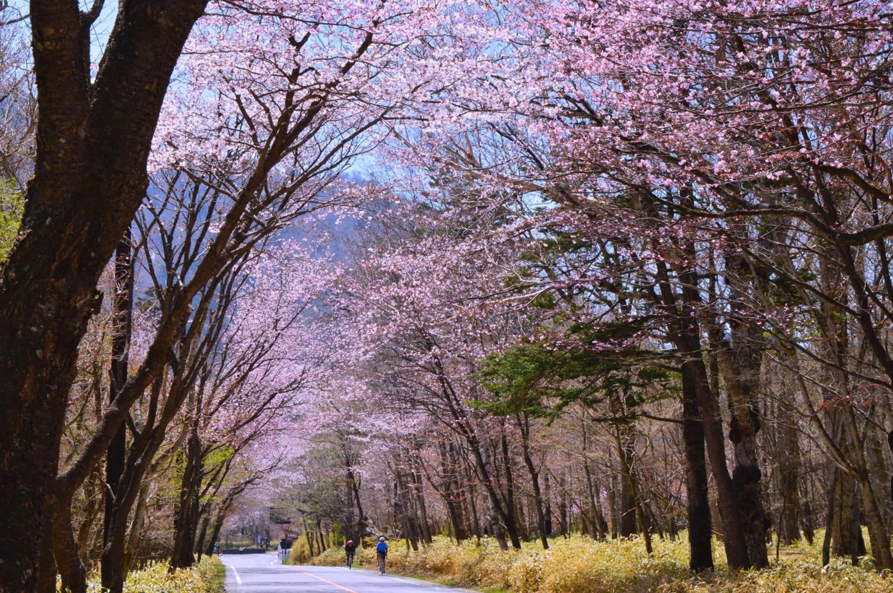 Nearby landmark in KAMENOI HOTEL Okunikko