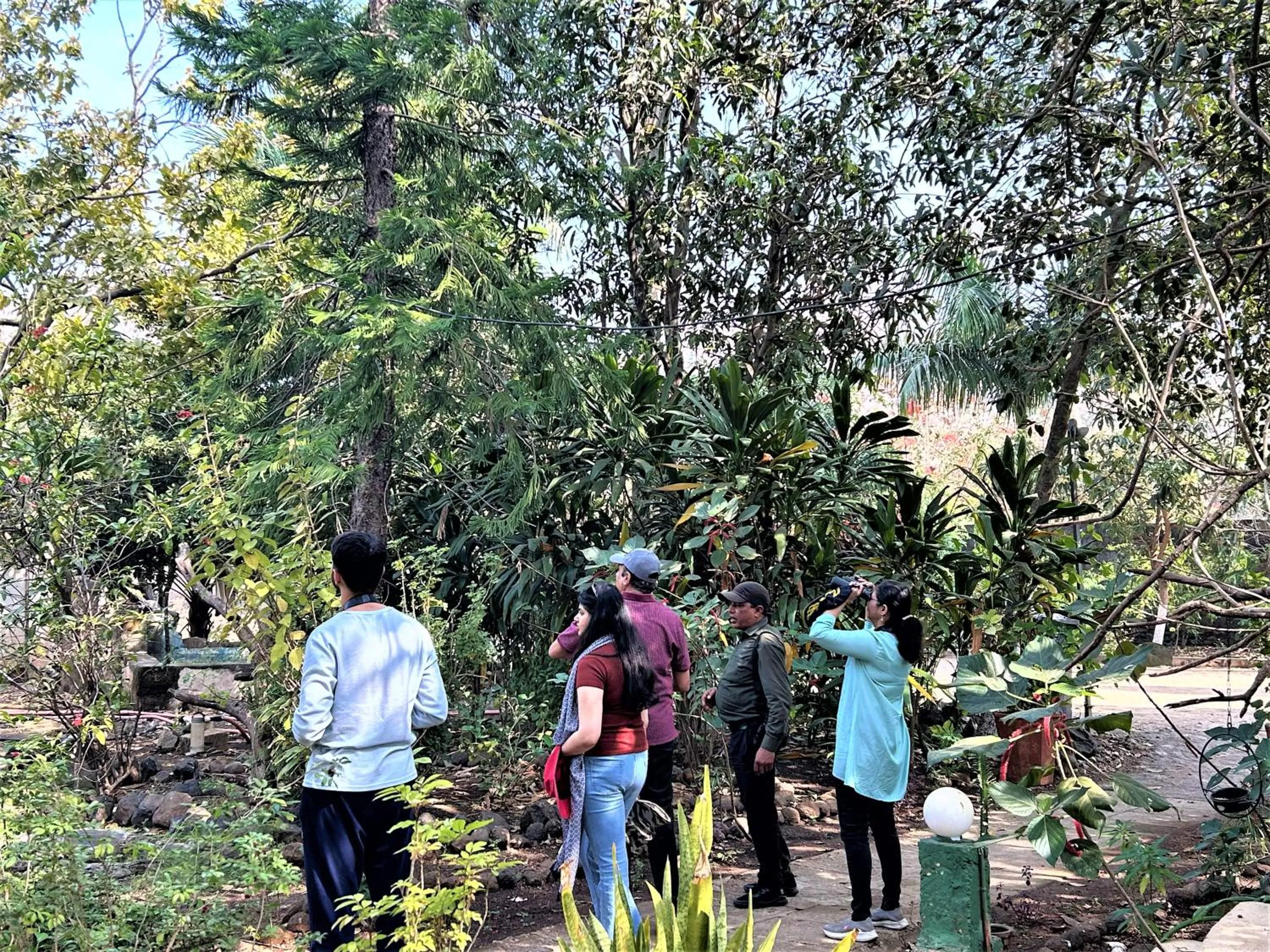 Activities in Gir Birding Lodge