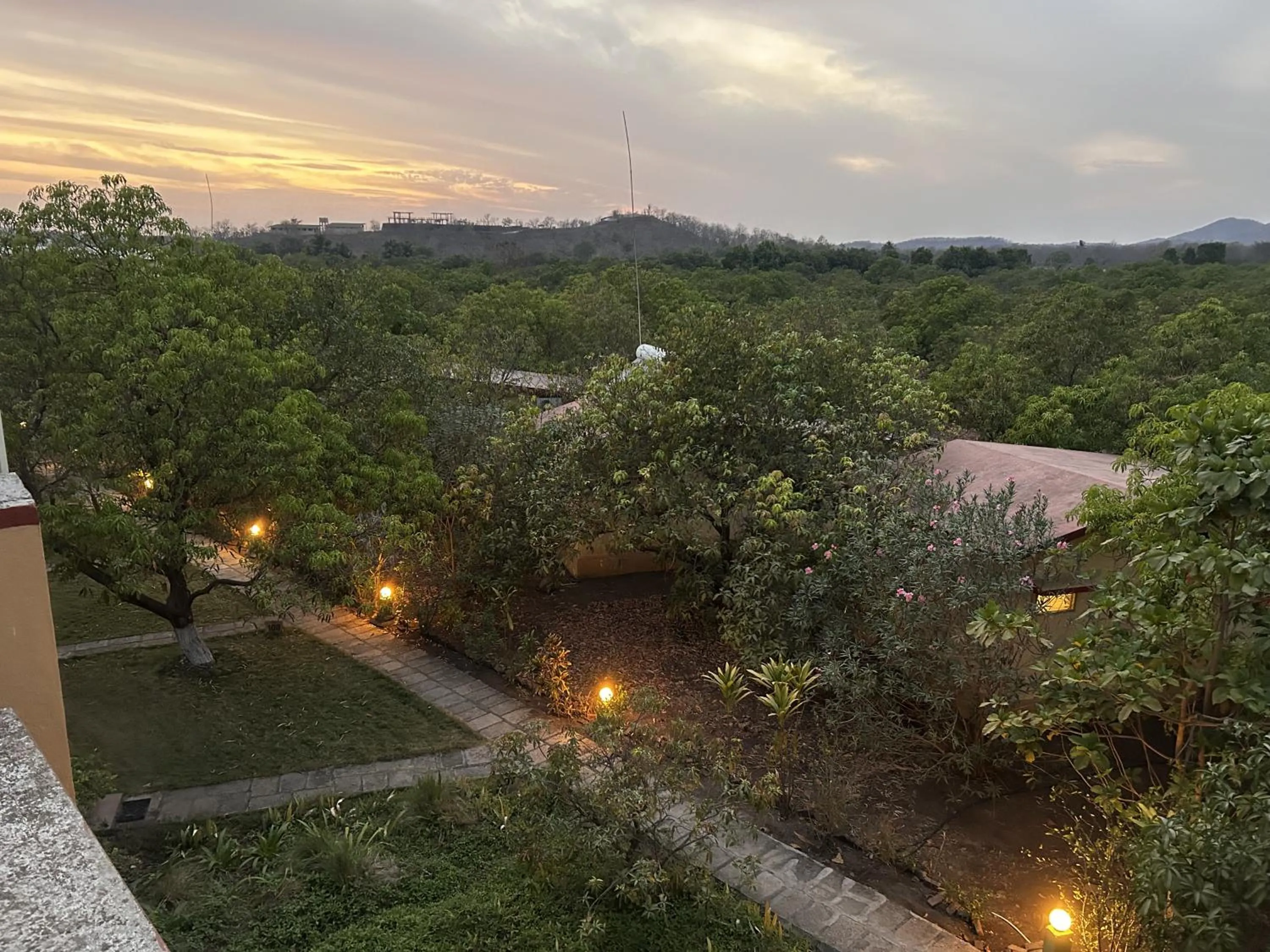 Garden in Gir Birding Lodge