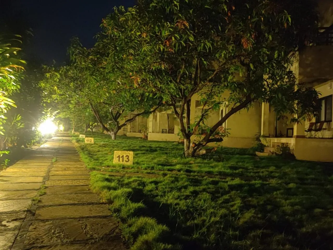 Garden in Gir Birding Lodge
