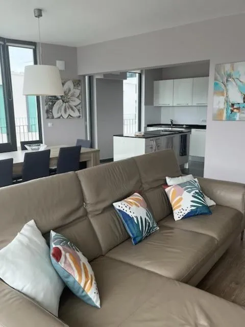 Green Hill Penthouse apartment
