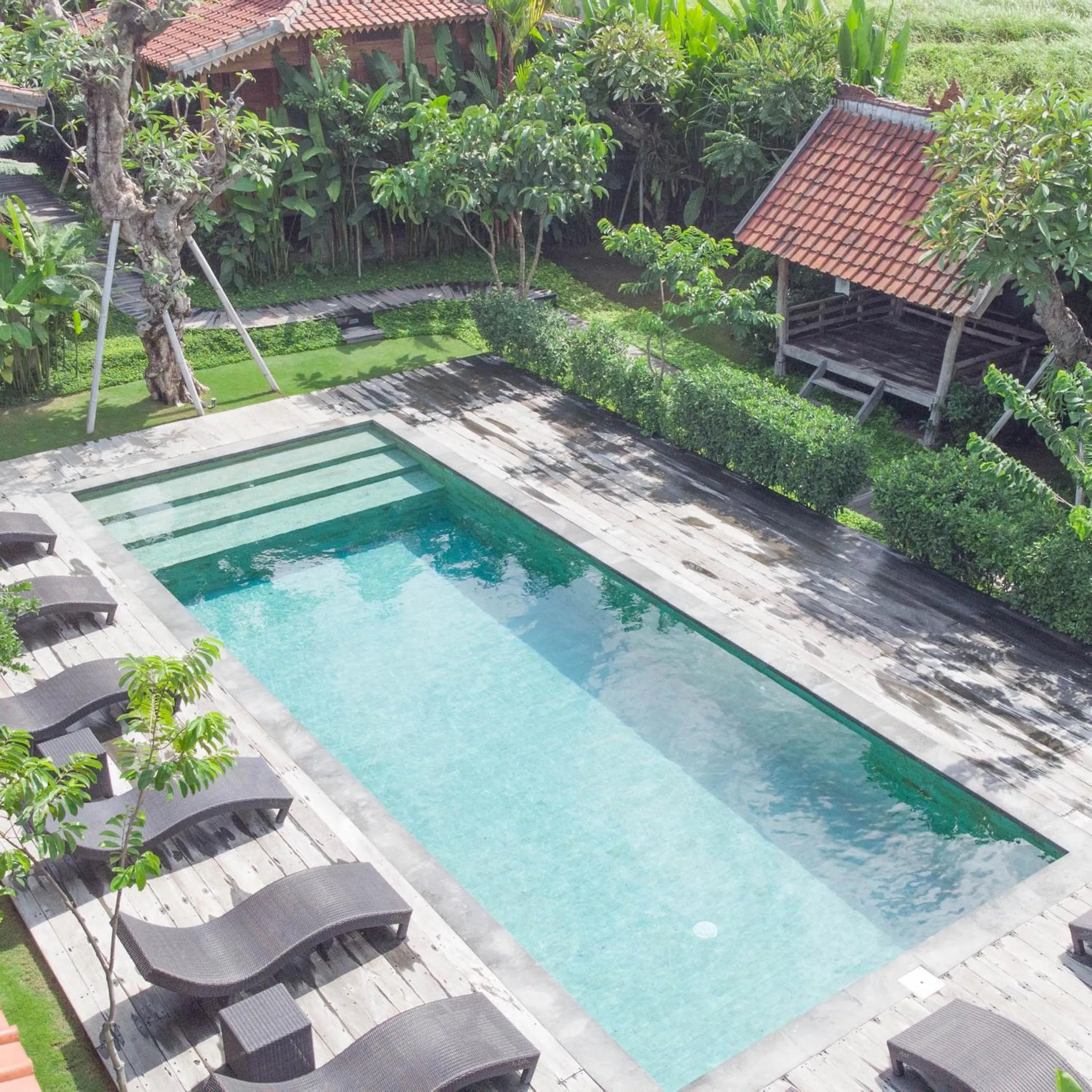 Pool view in Bajalo Cottage Canggu - Adults only