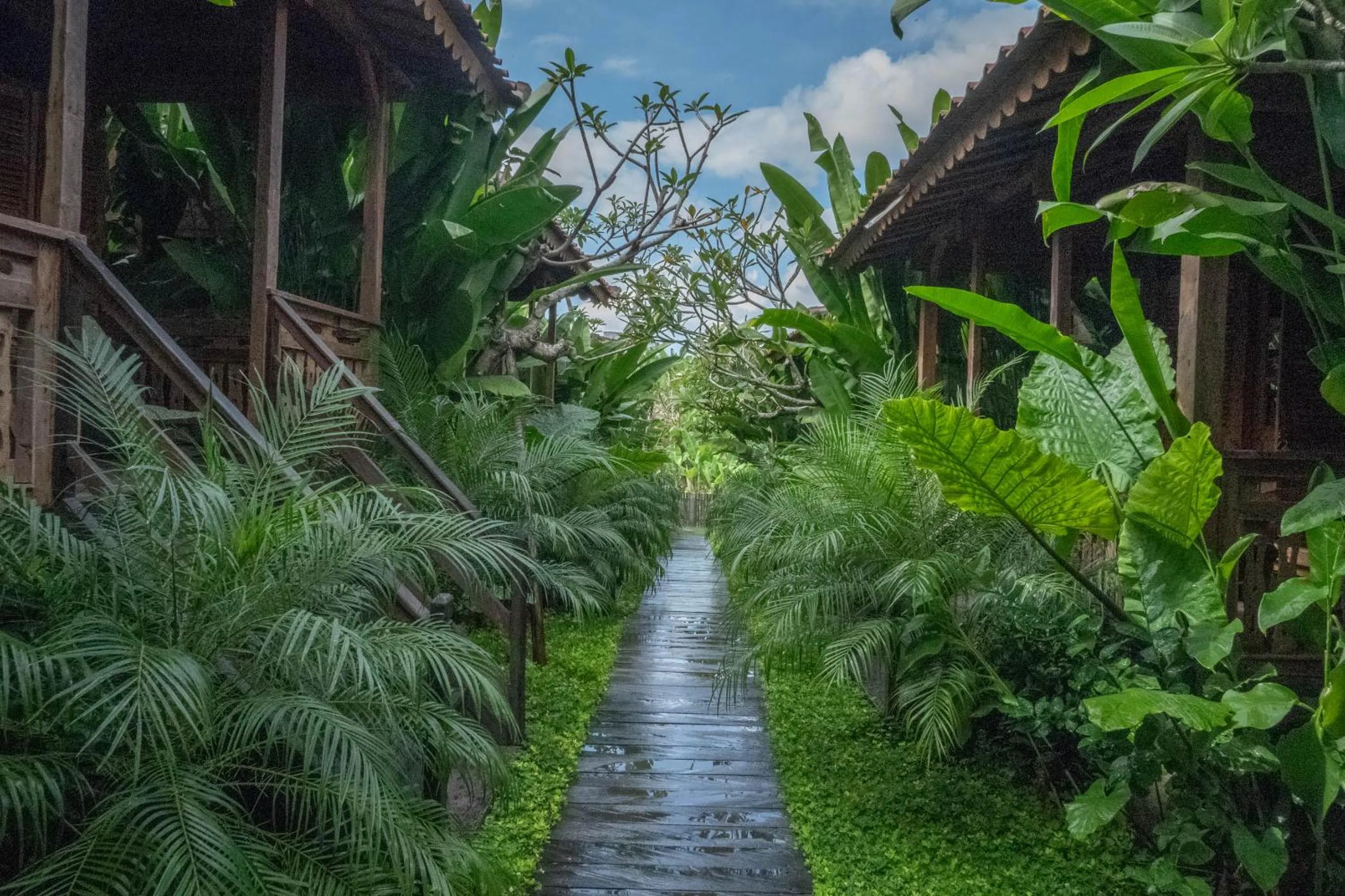Natural landscape in Bajalo Cottage Canggu - Adults only
