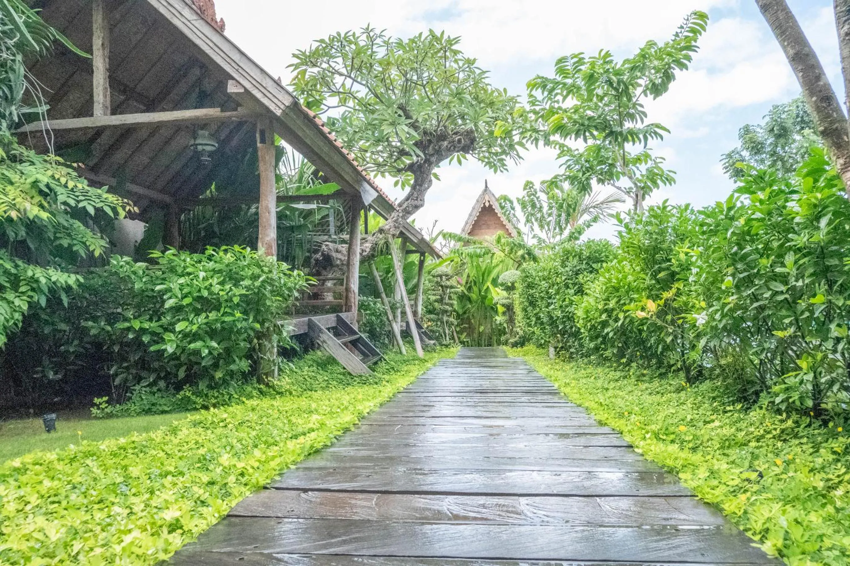 Garden in Bajalo Cottage Canggu - Adults only