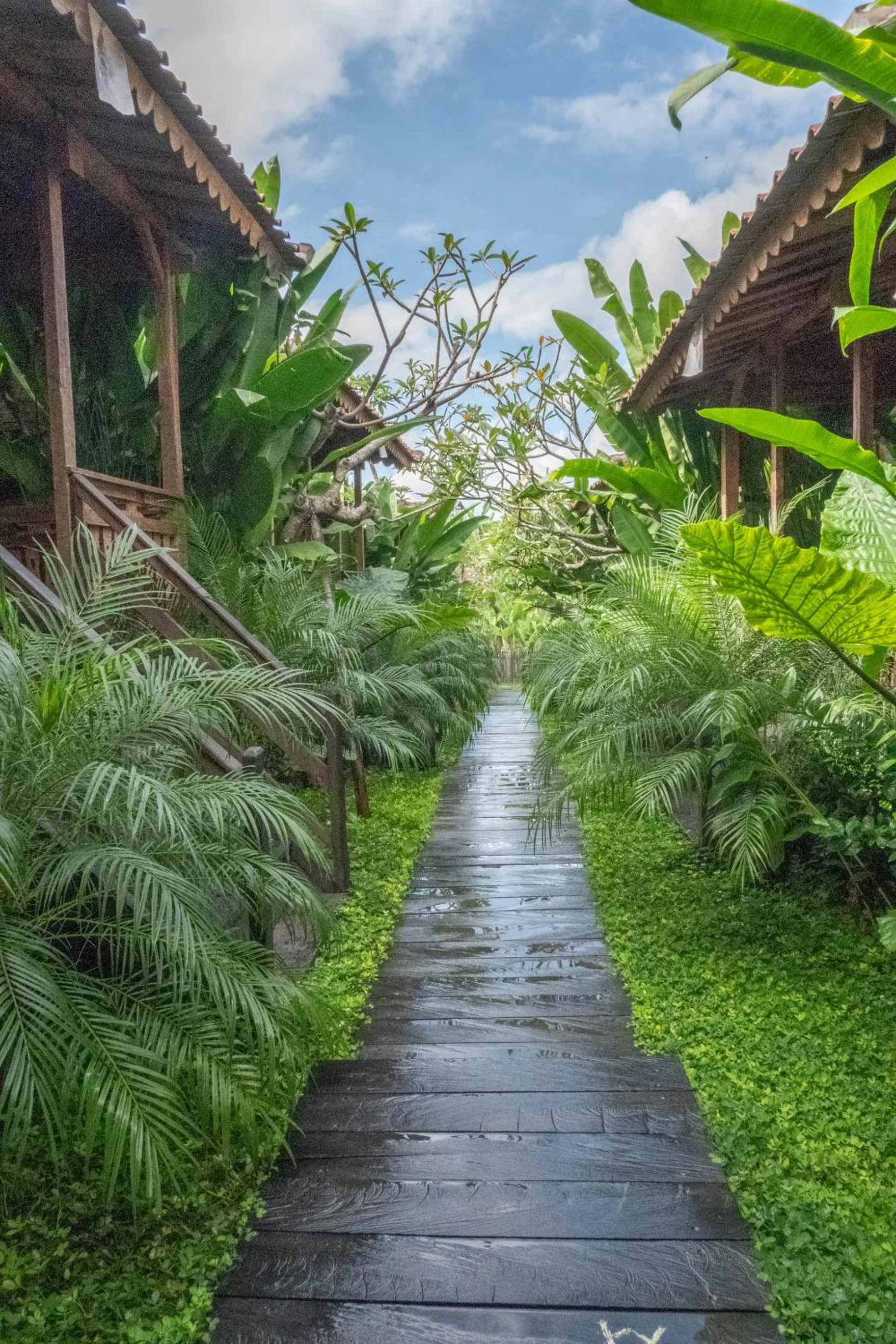 Natural landscape in Bajalo Cottage Canggu - Adults only