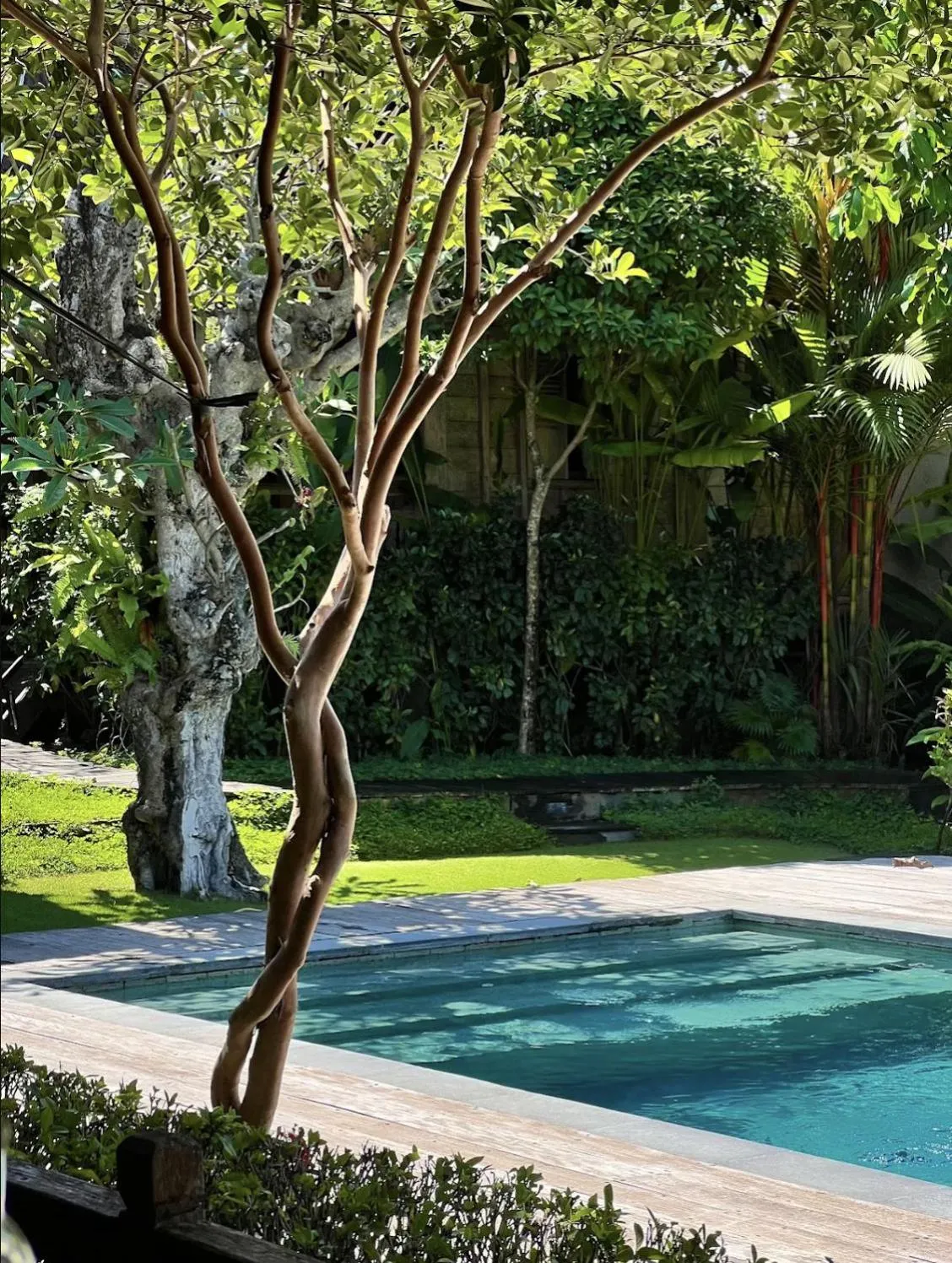 Swimming pool in Bajalo Cottage Canggu - Adults only