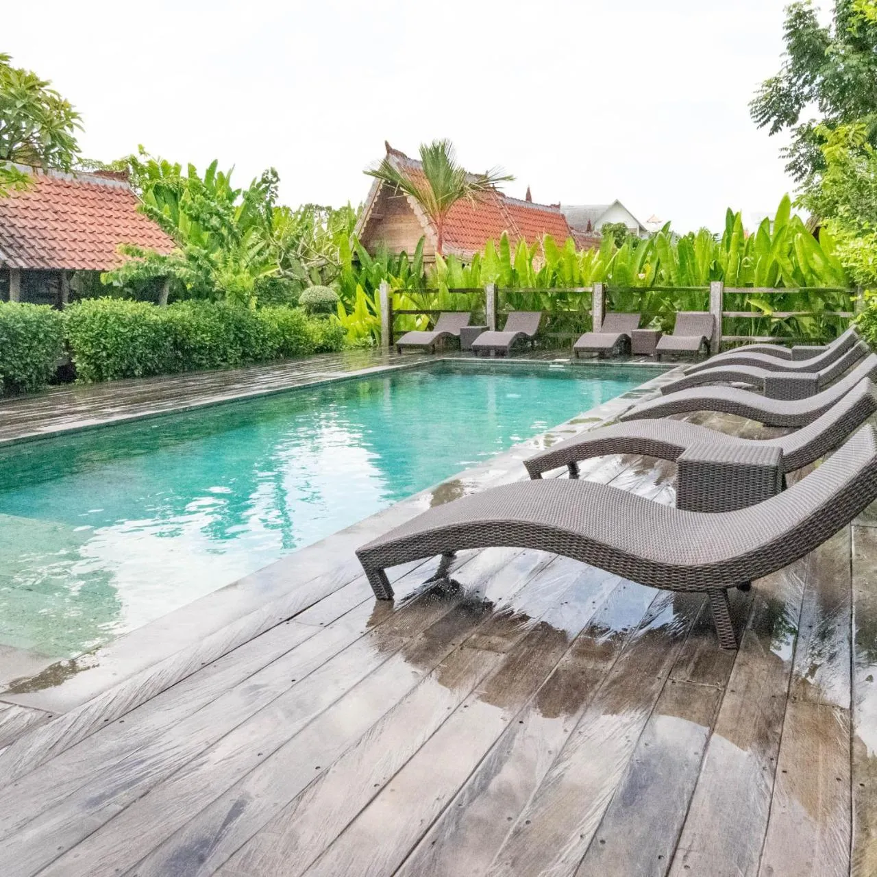 Swimming pool in Bajalo Cottage Canggu - Adults only