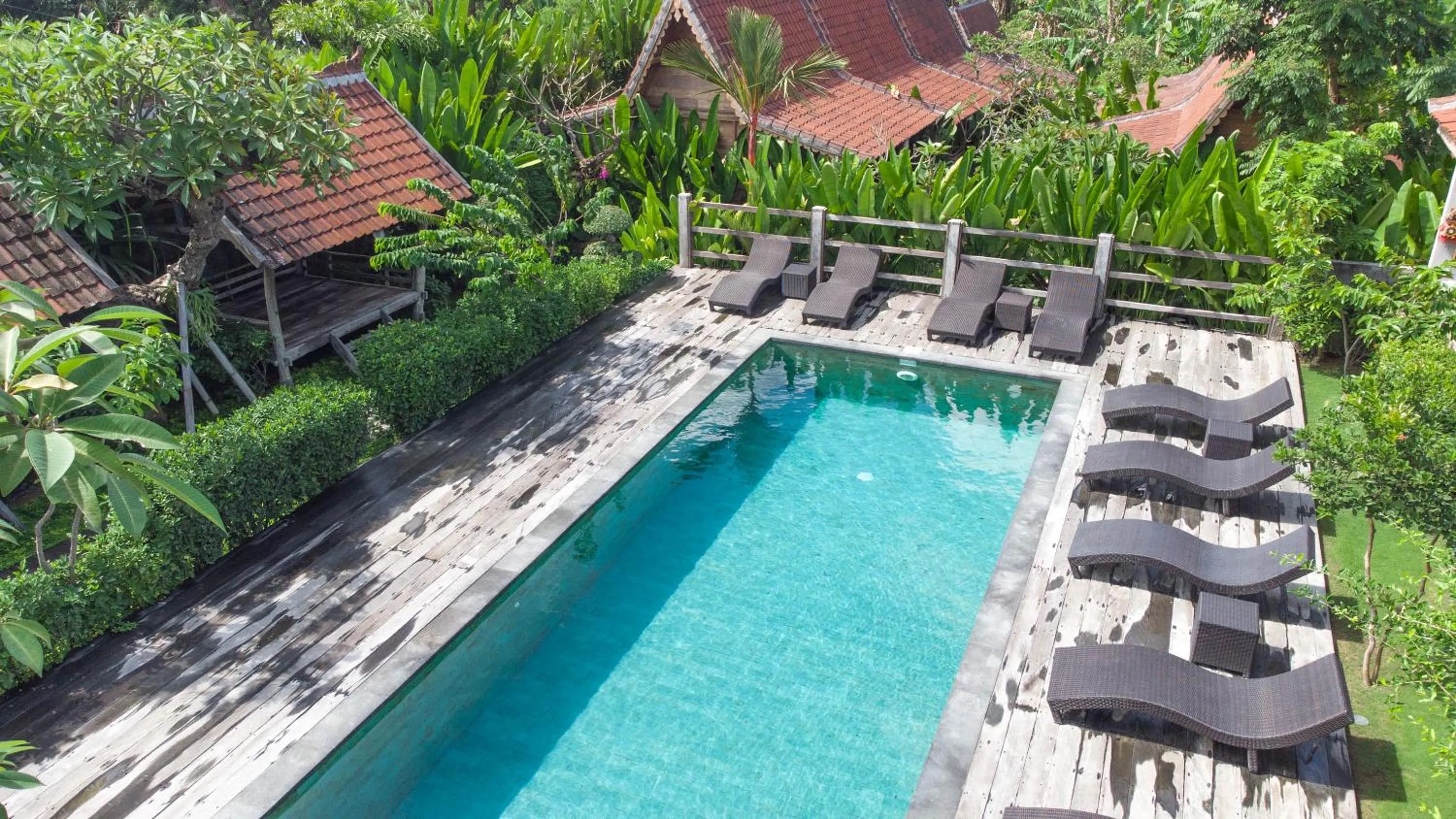 Swimming pool in Bajalo Cottage Canggu - Adults only
