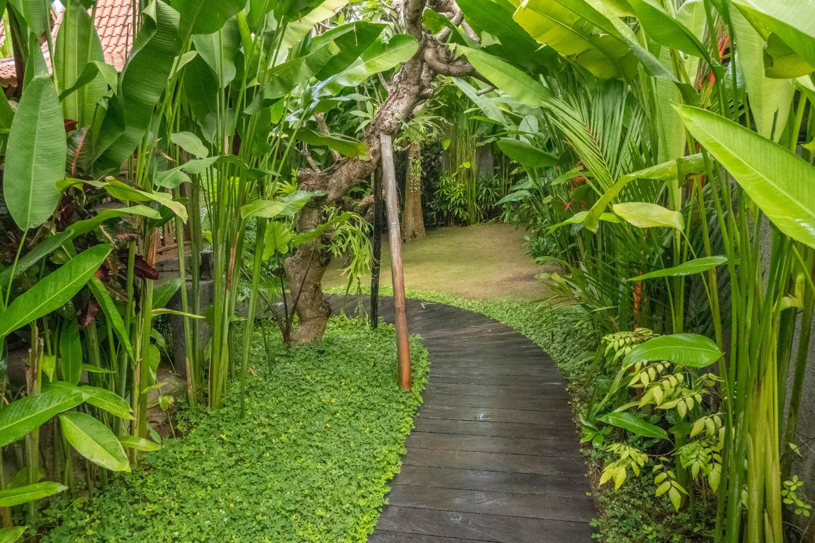 Garden in Bajalo Cottage Canggu - Adults only