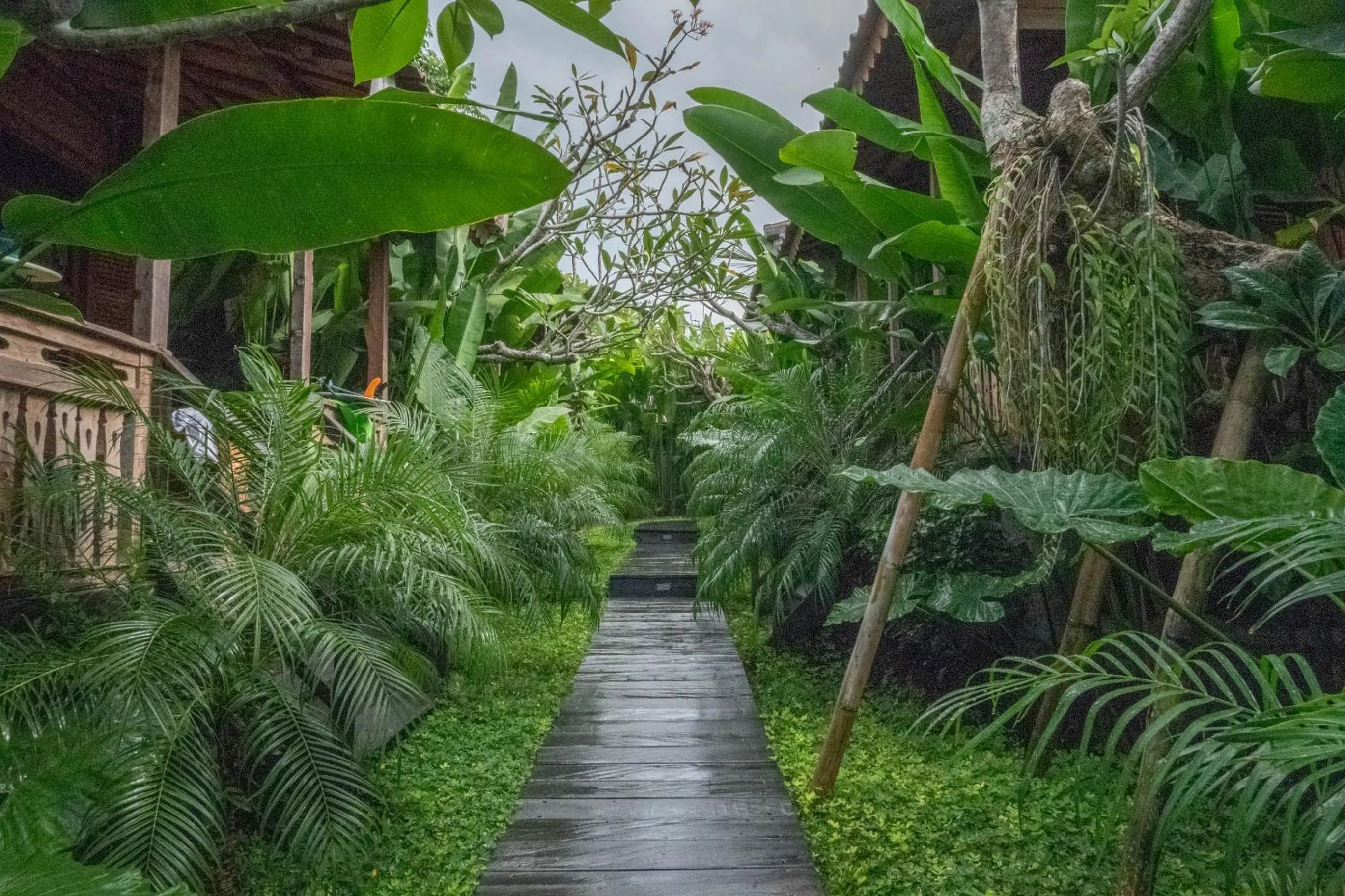 Garden in Bajalo Cottage Canggu - Adults only