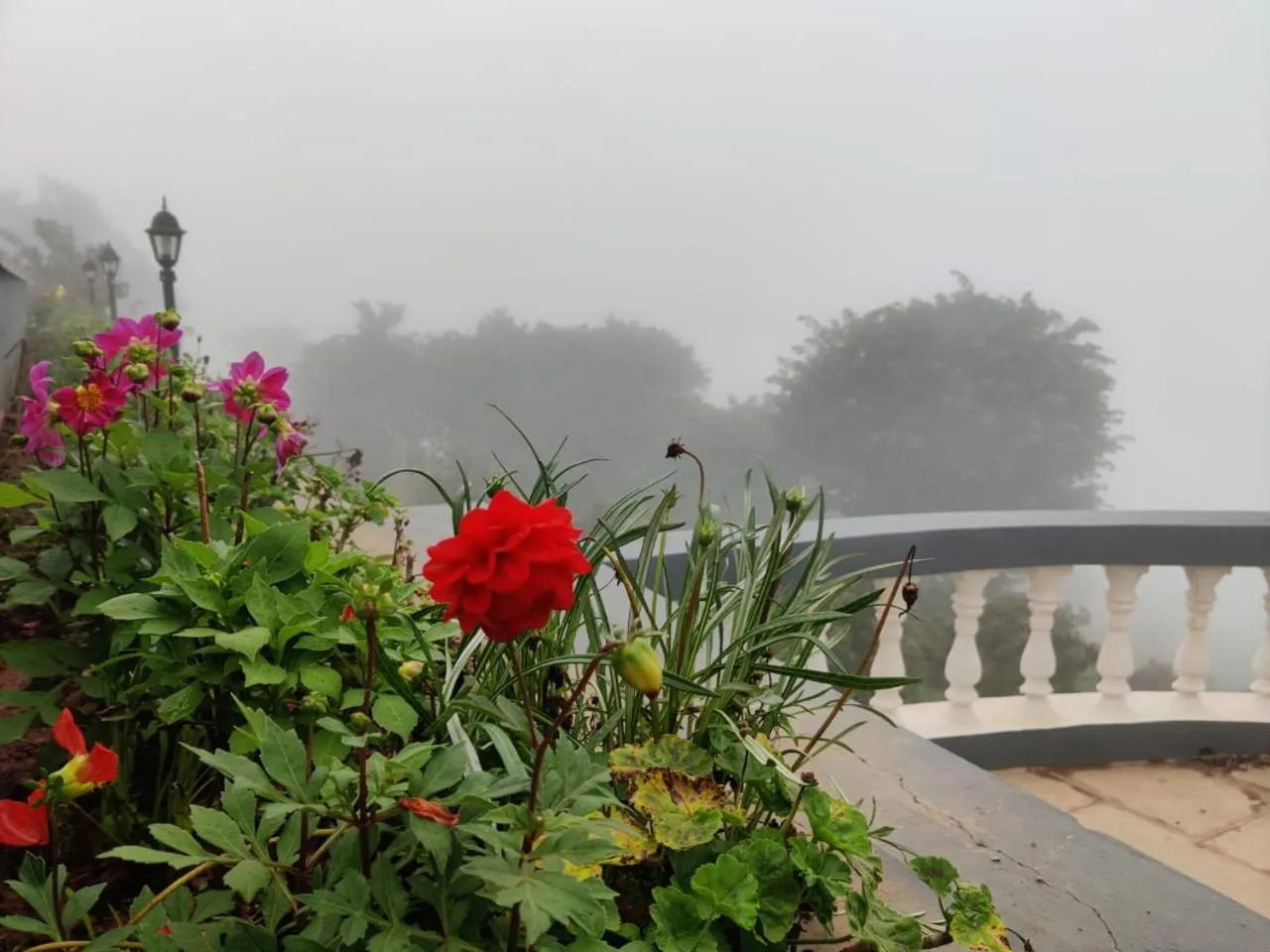 Patio in Hilltop Resort and Glamping Wai, Near Panchgani