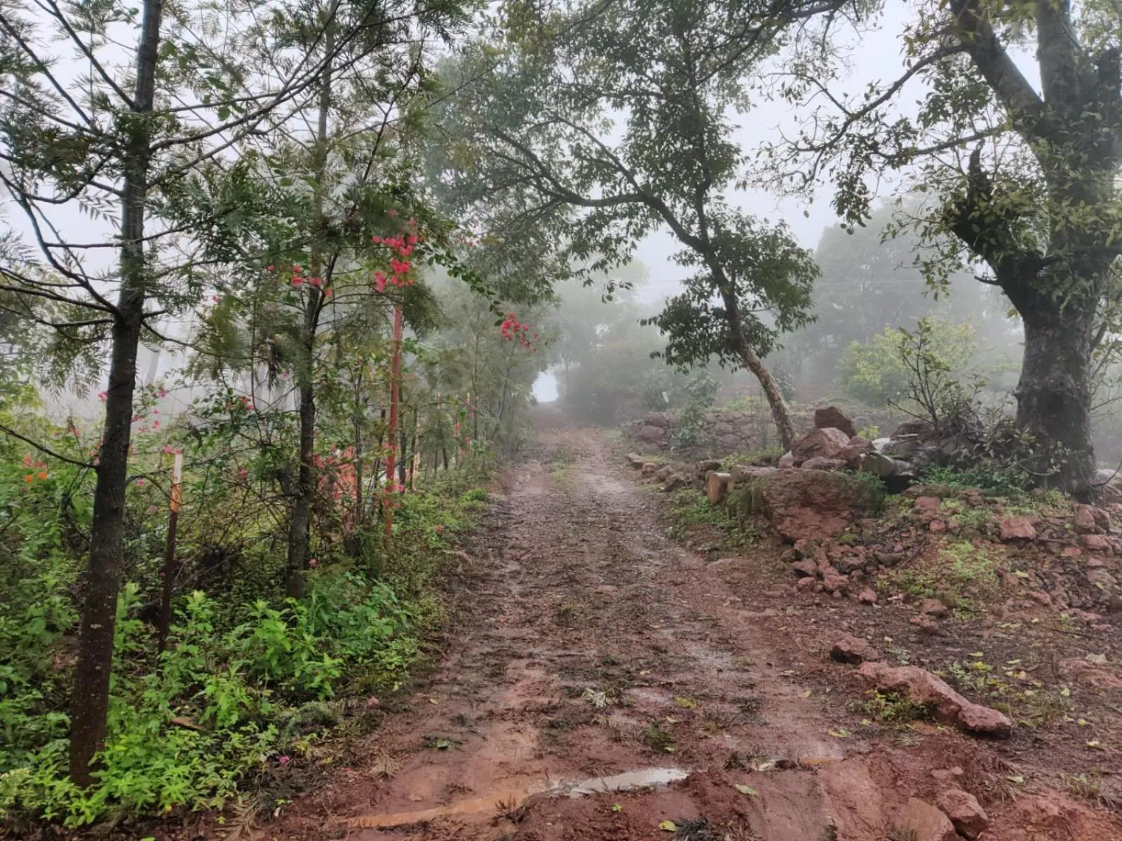 Hilltop Resort and Glamping Wai, Near Panchgani