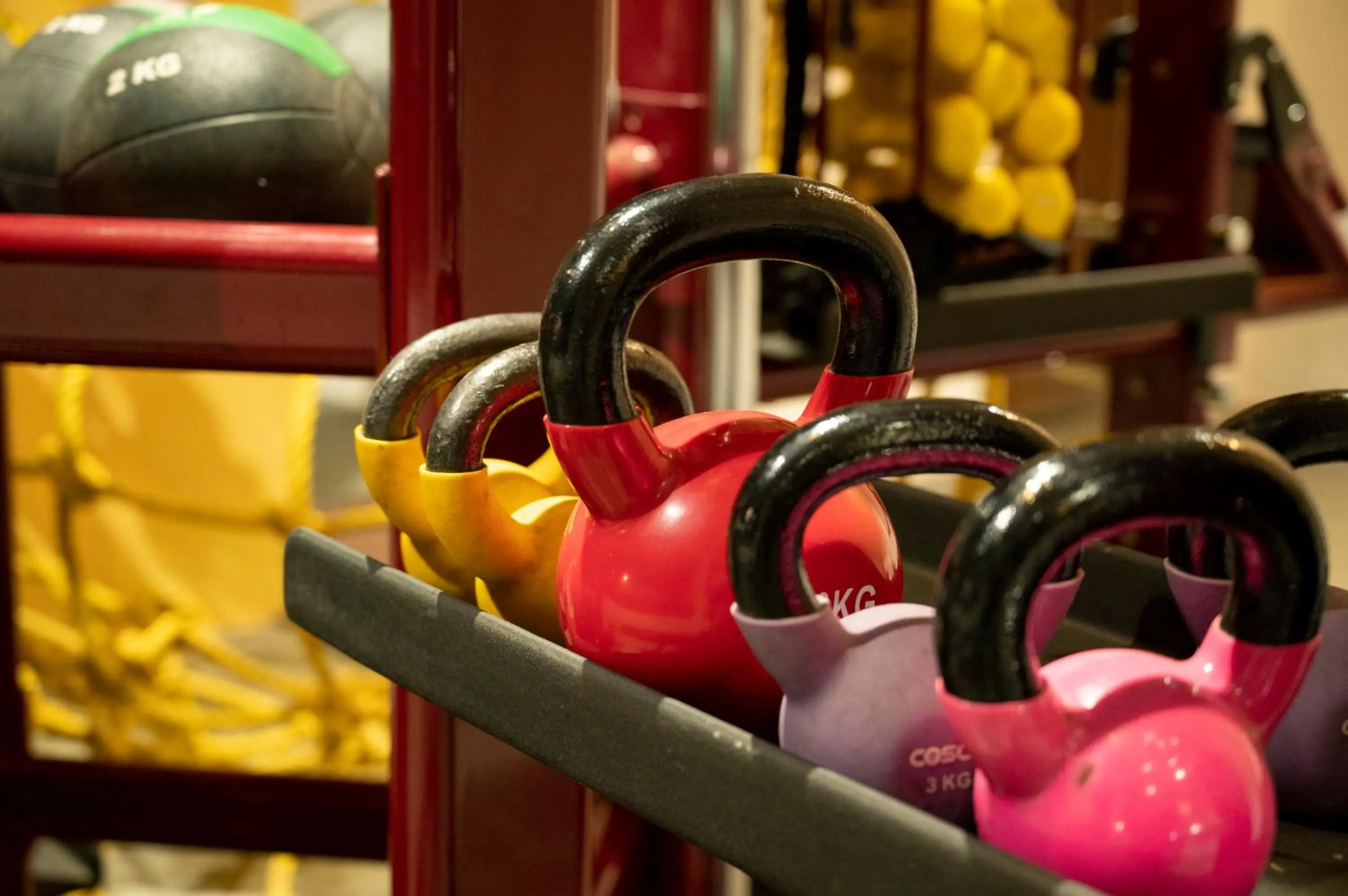 Fitness centre/facilities in Sterling Stolen Heaven Lonavala