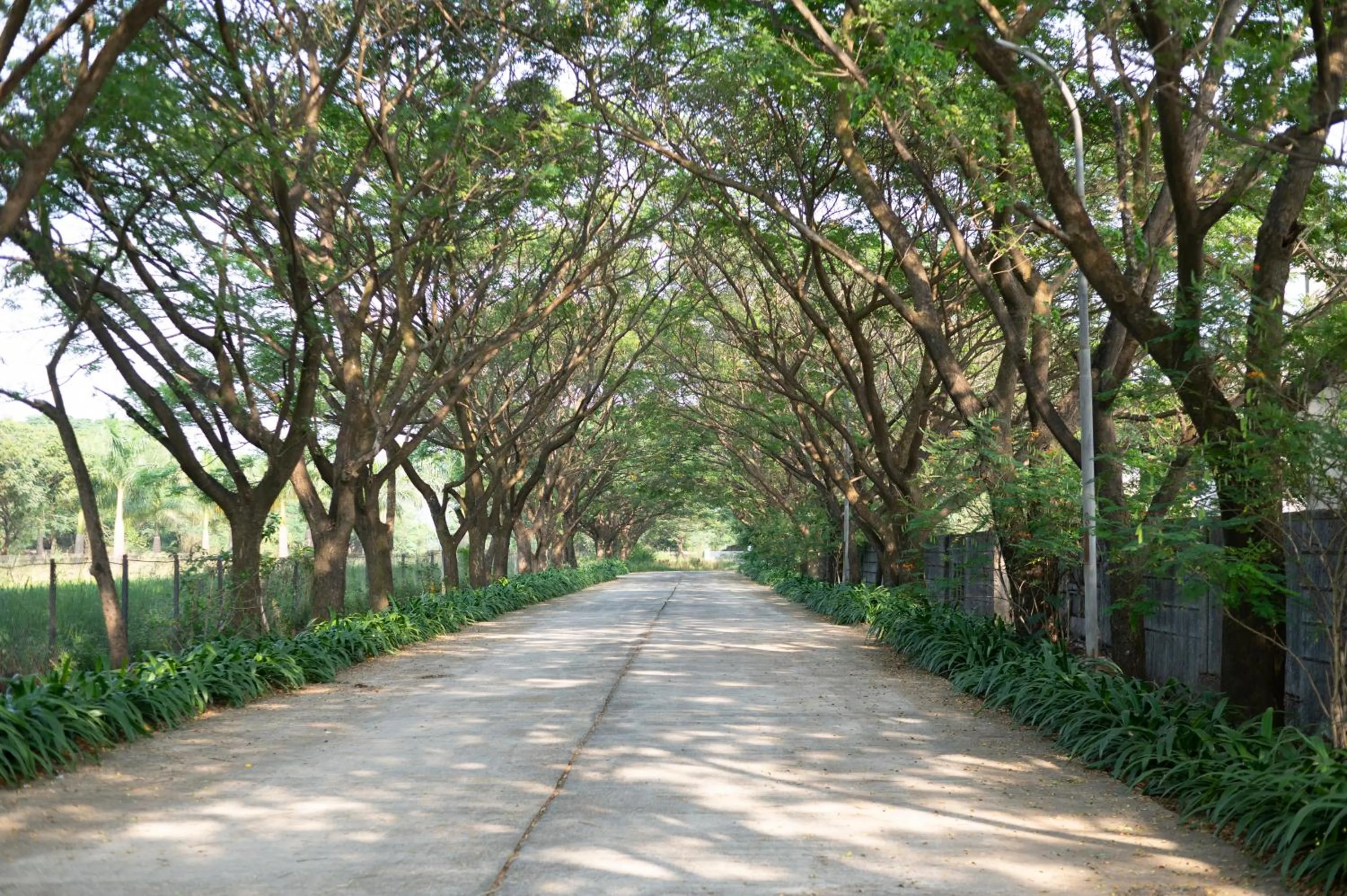 Natural landscape in Sterling Stolen Heaven Lonavala