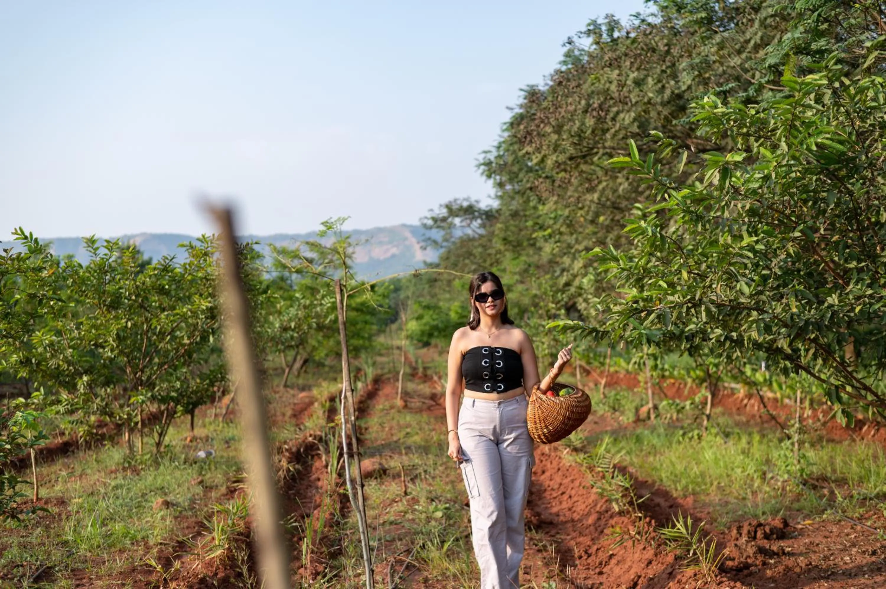 Area and facilities in Sterling Stolen Heaven Lonavala