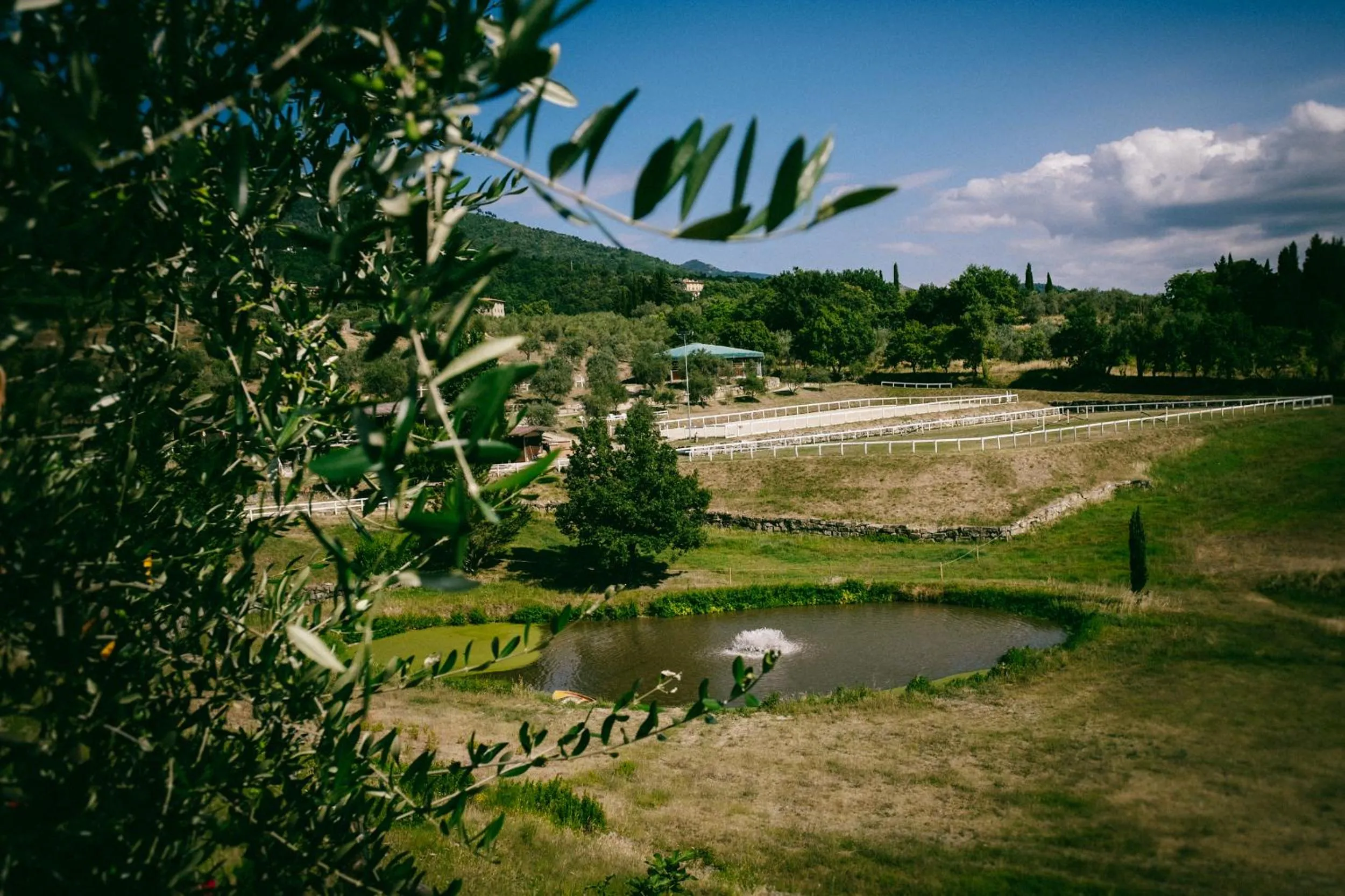 Property building in Fattoria Degli Usignoli
