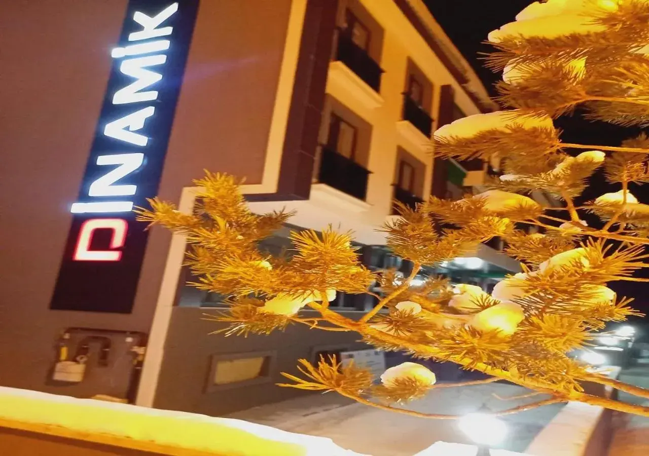 Property building in Dinamik Otel Sarıkamış Property building in Dinamik Otel Sarıkamış