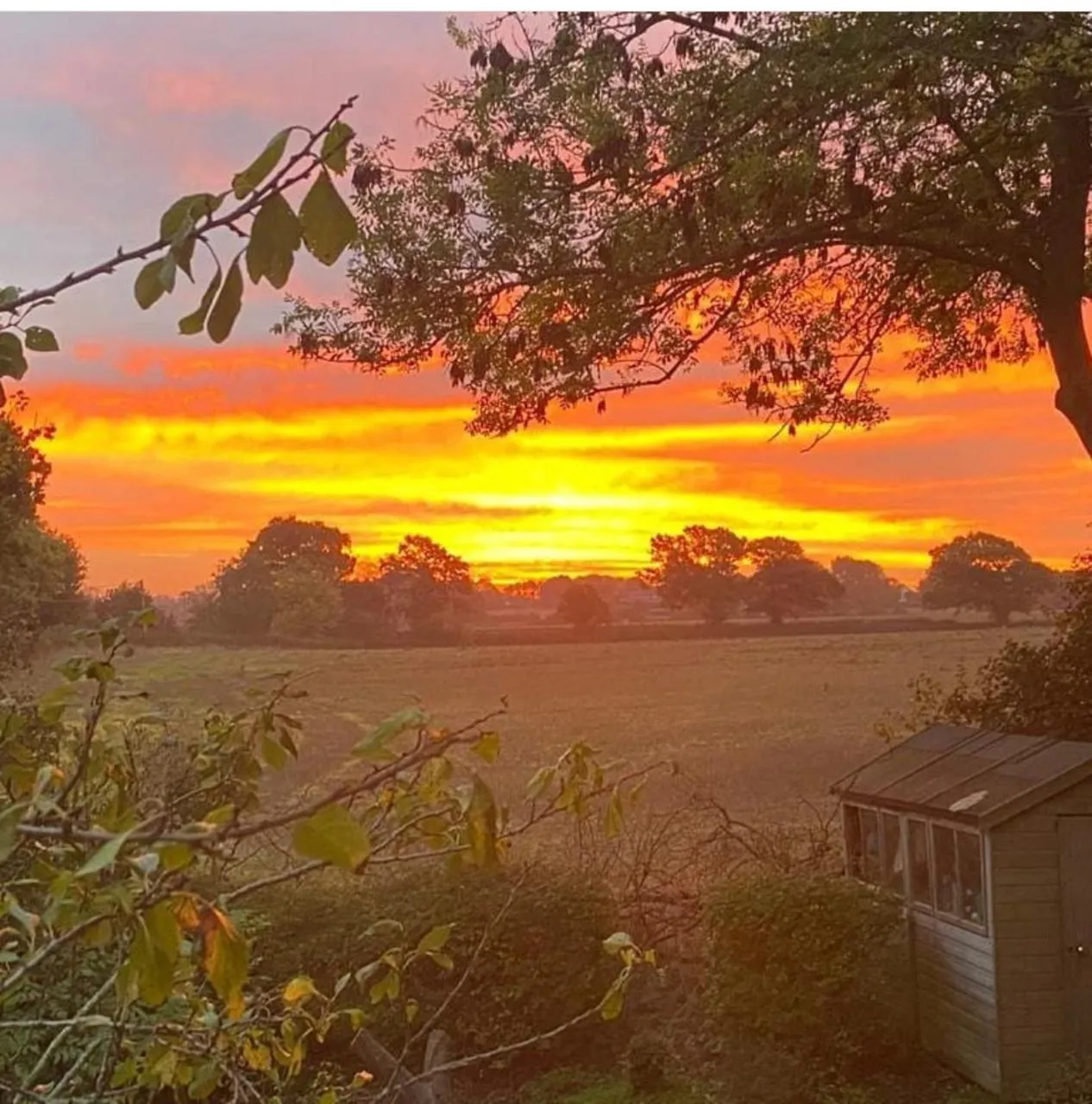 Sunset in The Jolly Sportsman