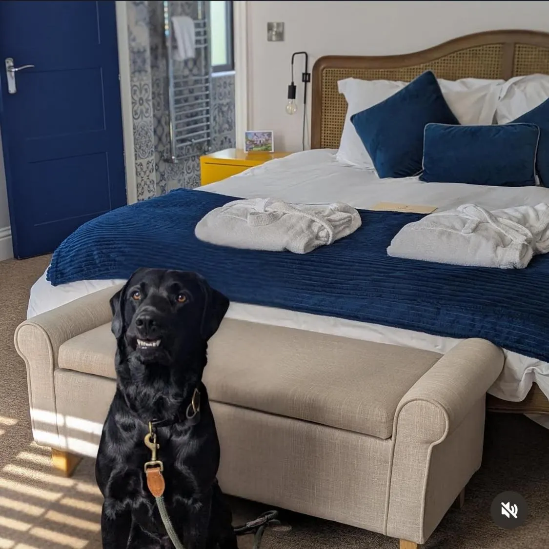 Bed in The Jolly Sportsman