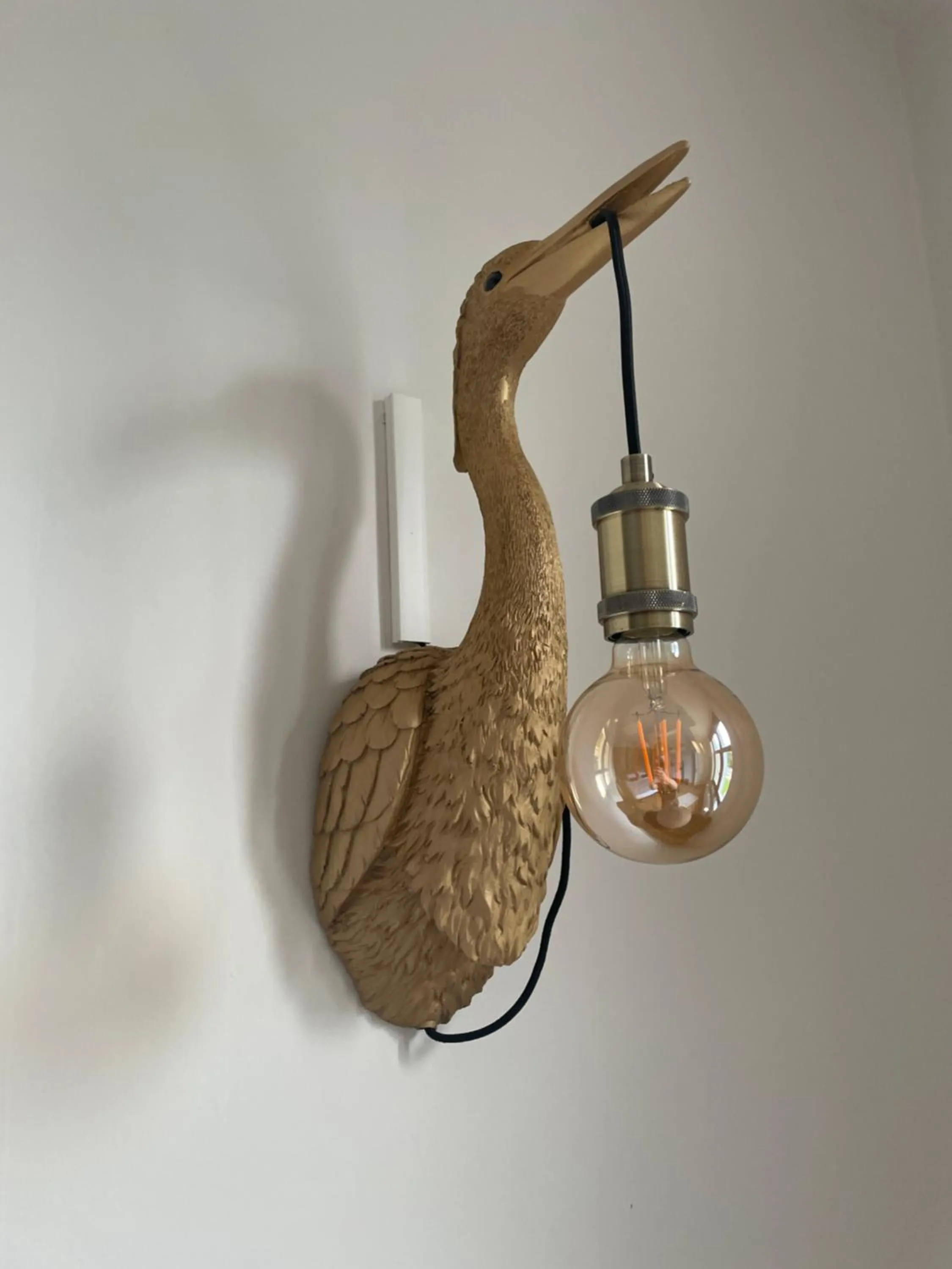 Animals in B&B het Notarishuis - authentiek verblijf nabij Maastricht