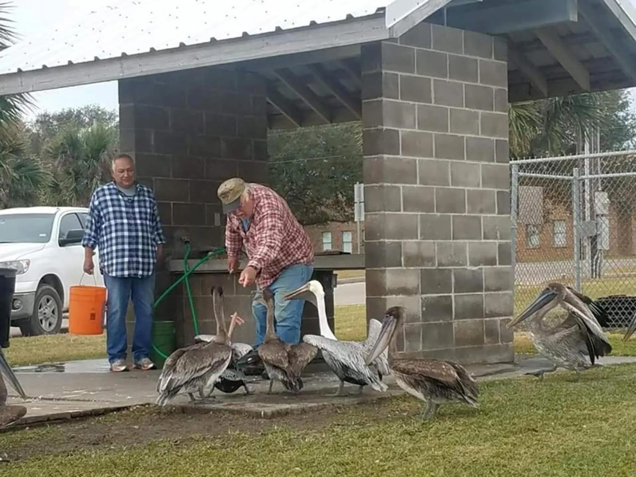 Activities in Coastal Cottage Bay House
