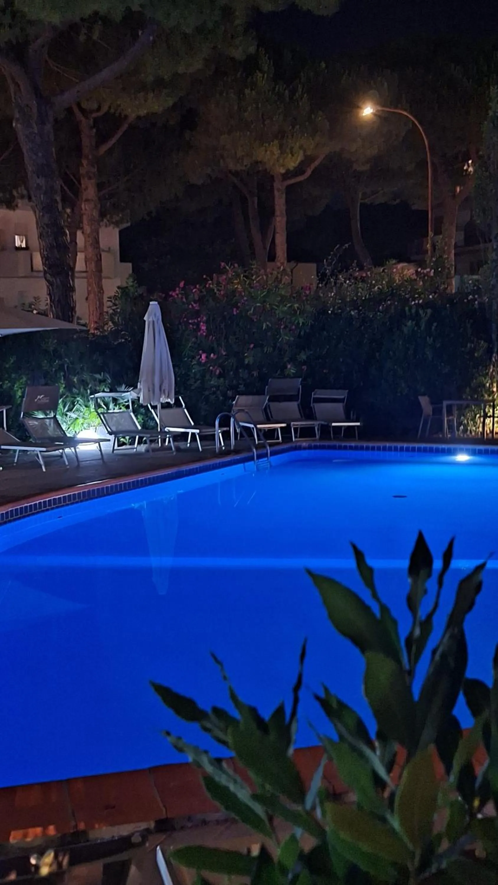 Swimming pool in Hotel Schiller