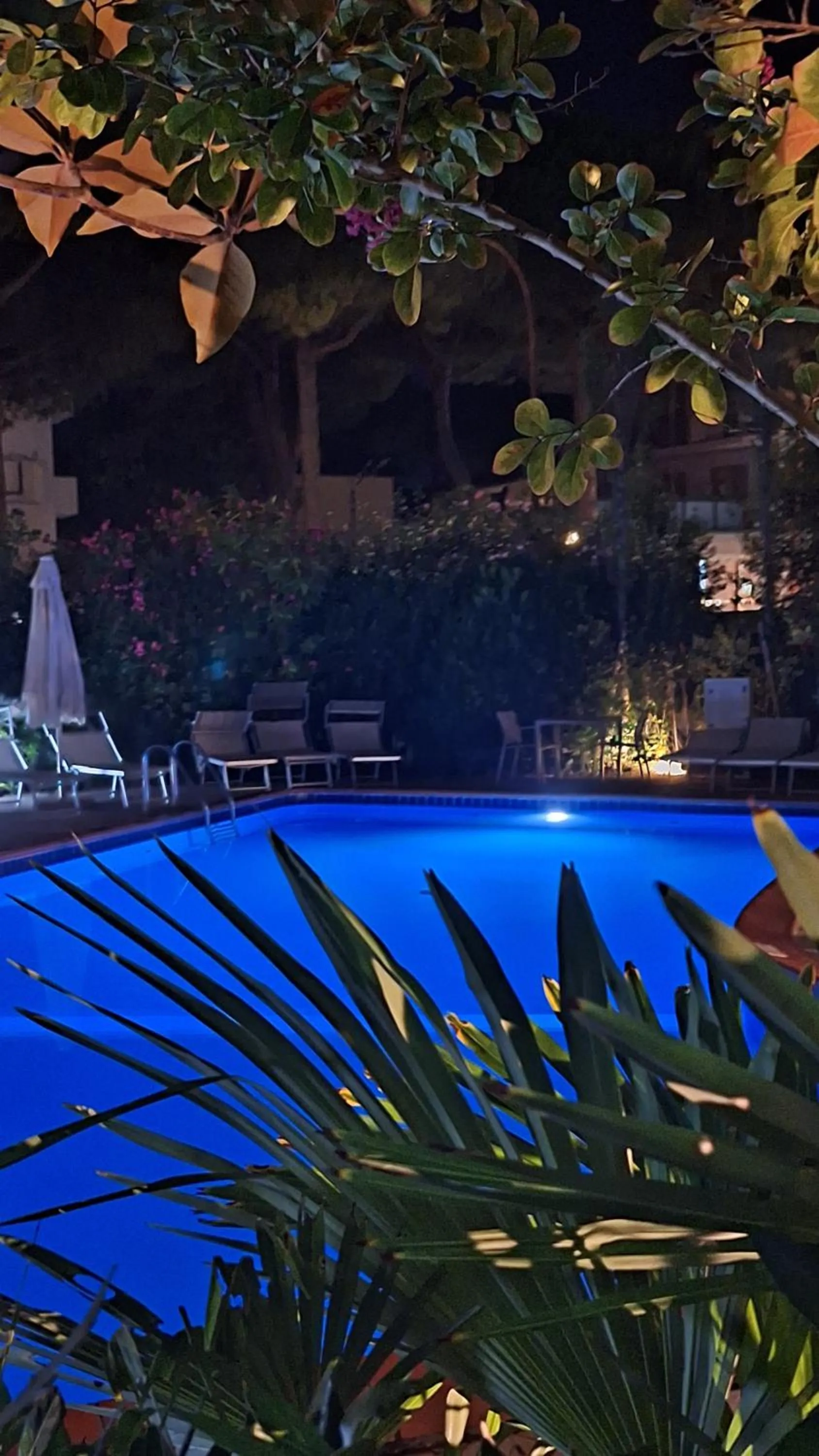 Swimming pool in Hotel Schiller